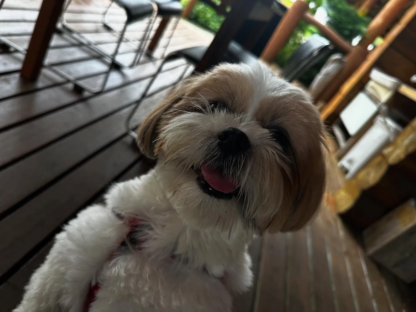 先月の抽選おでかけイベントの動画をようやくYouTubeにア...