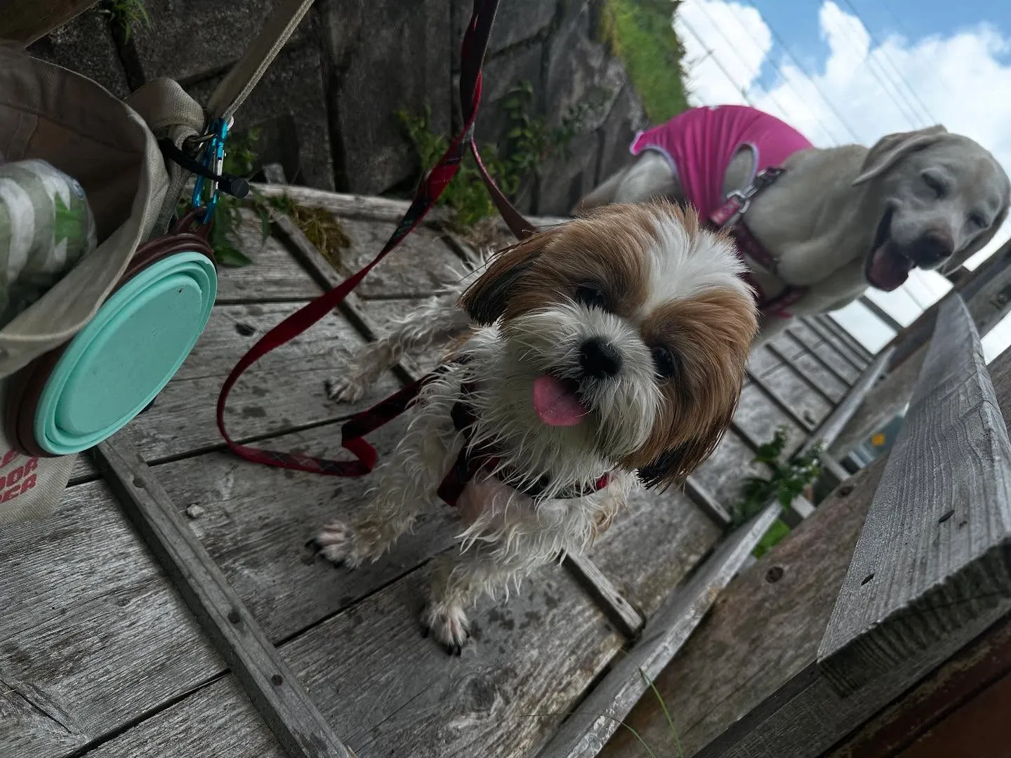 先月の抽選おでかけイベントの動画をようやくYouTubeにア...