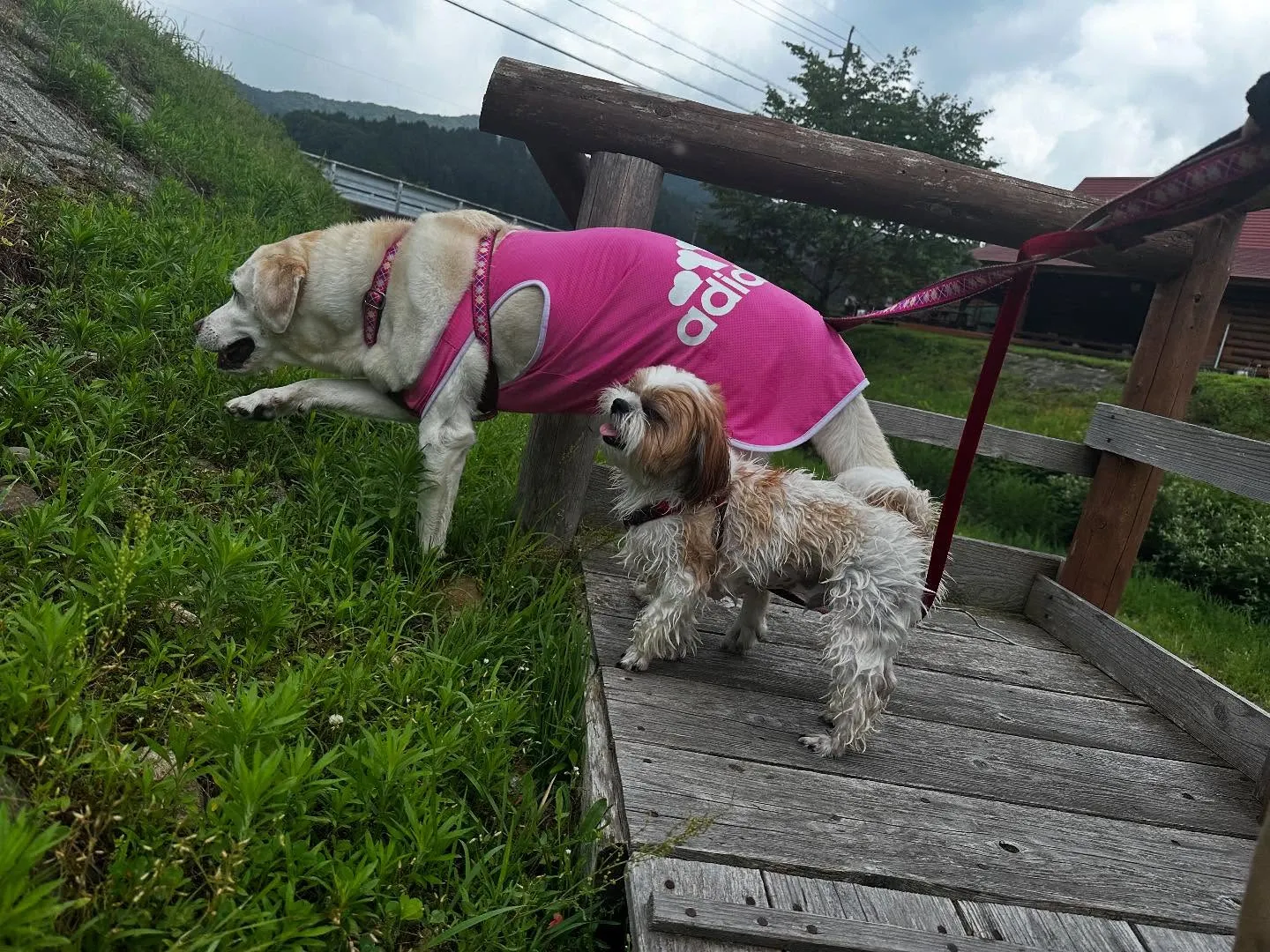 先月の抽選おでかけイベントの動画をようやくYouTubeにア...