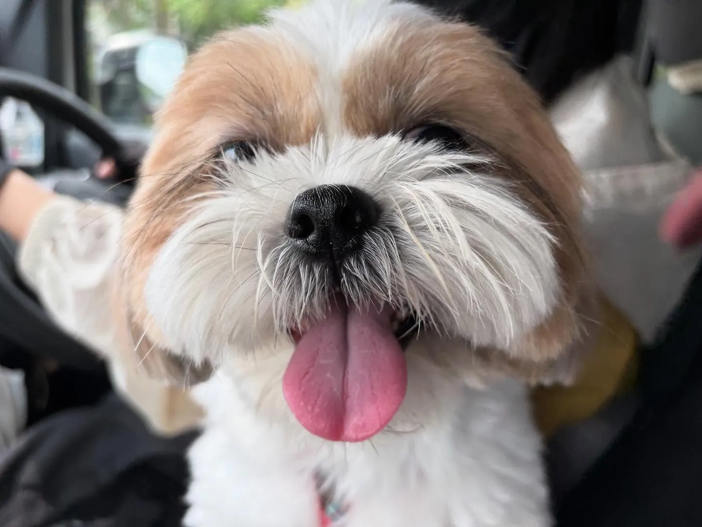 先月の抽選おでかけイベントの動画をようやくYouTubeにア...