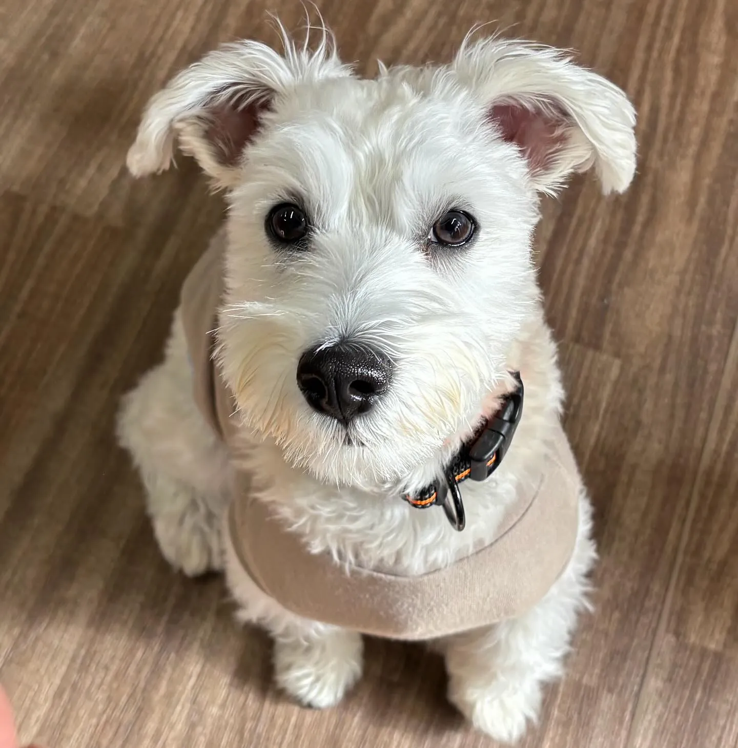 入会してくれたこたろうくんです🤗