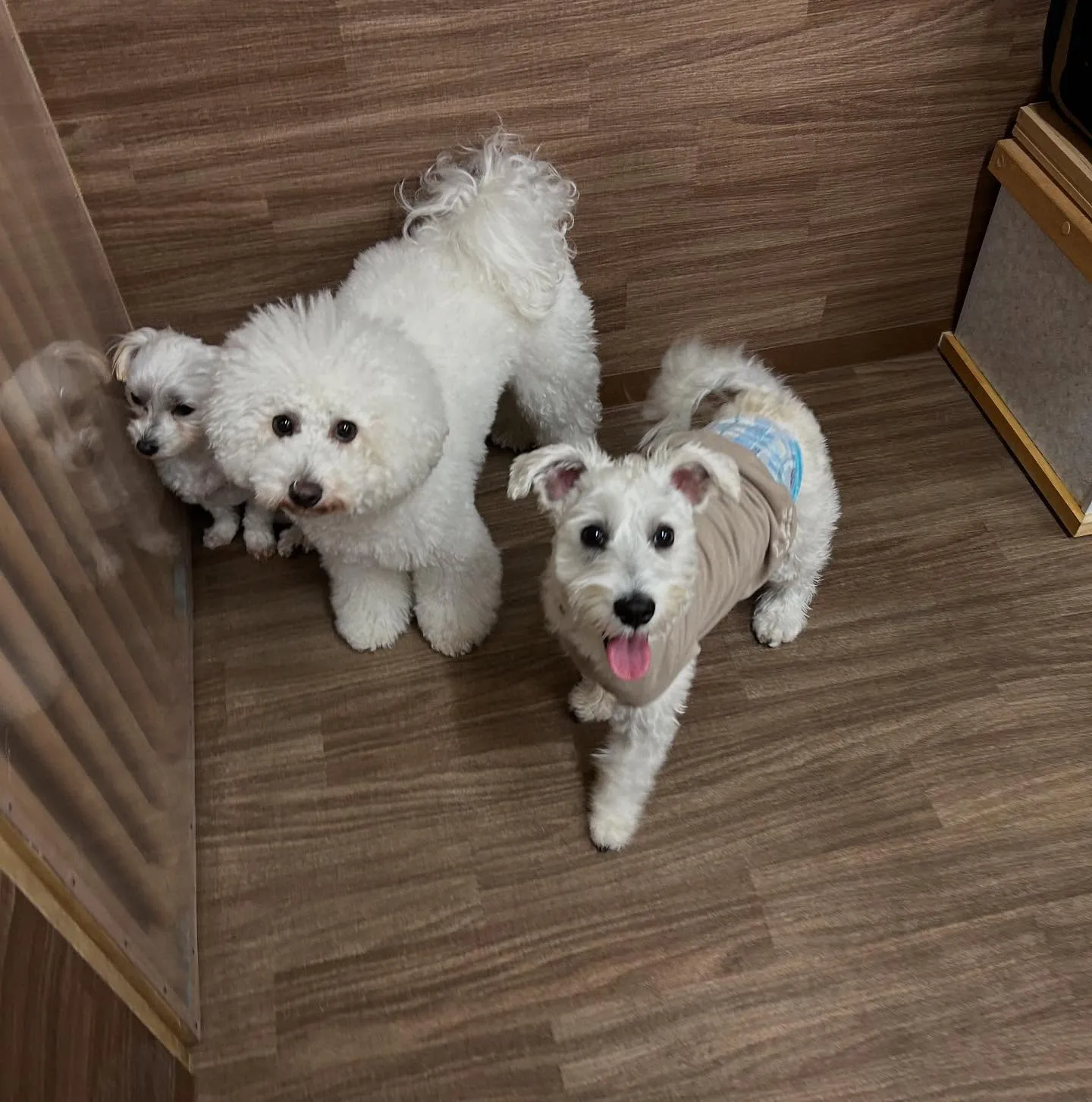 入会してくれたこたろうくんです🤗