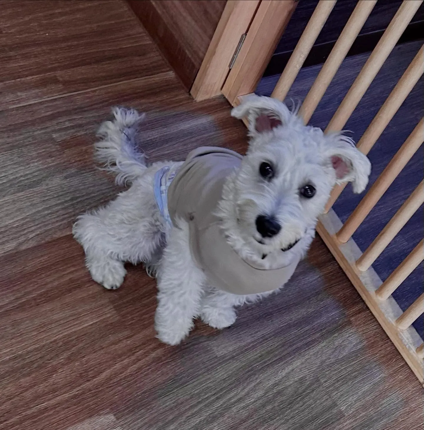 入会してくれたこたろうくんです🤗