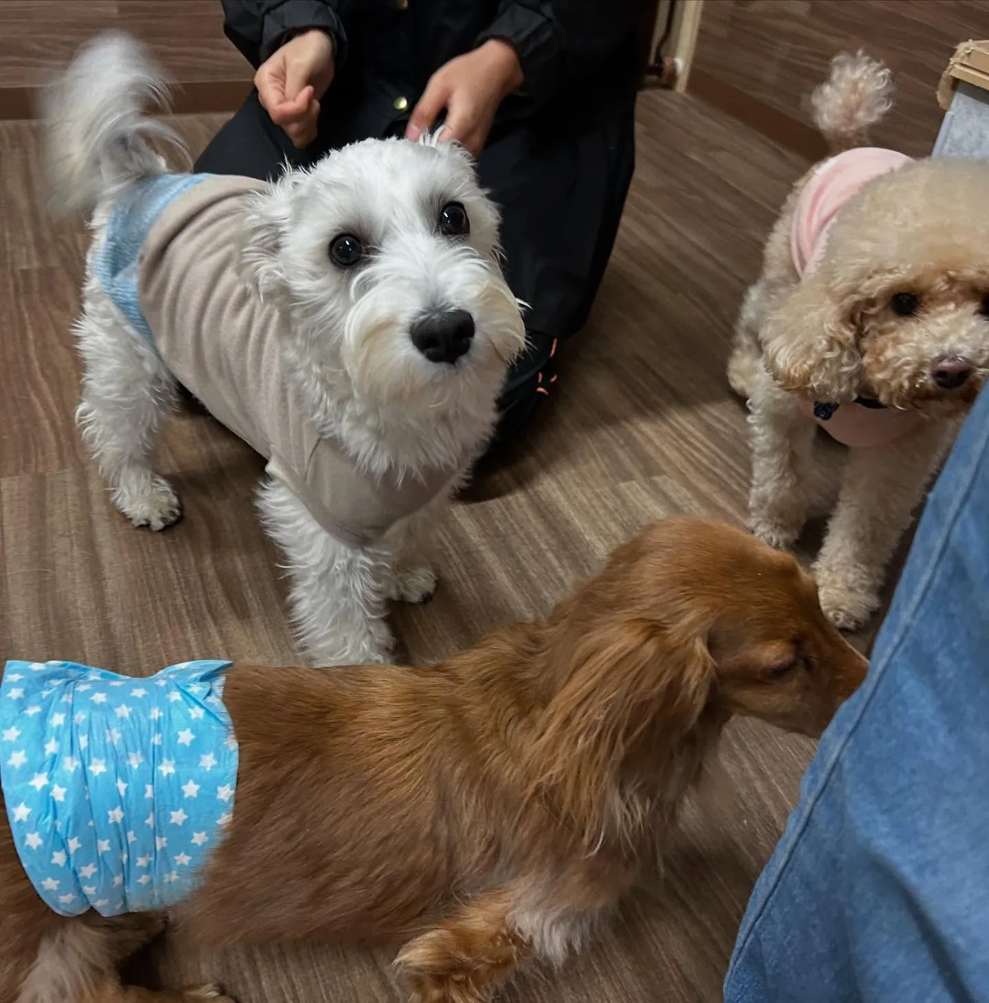 入会してくれたこたろうくんです🤗