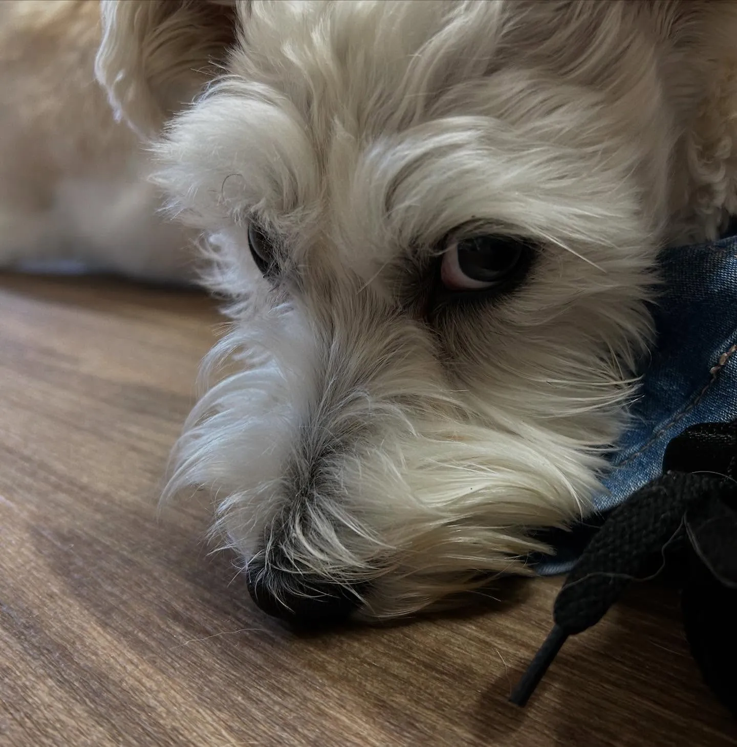 入会してくれたこたろうくんです🤗