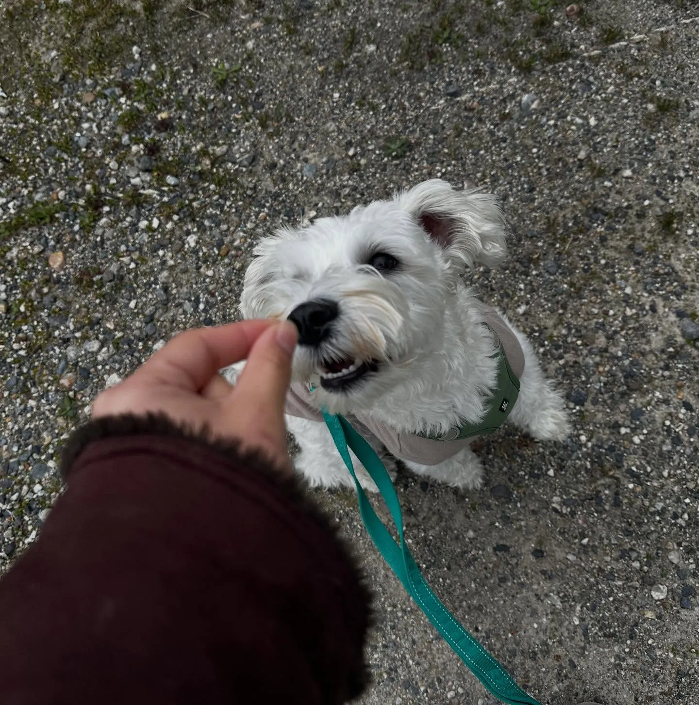 入会してくれたこたろうくんです🤗