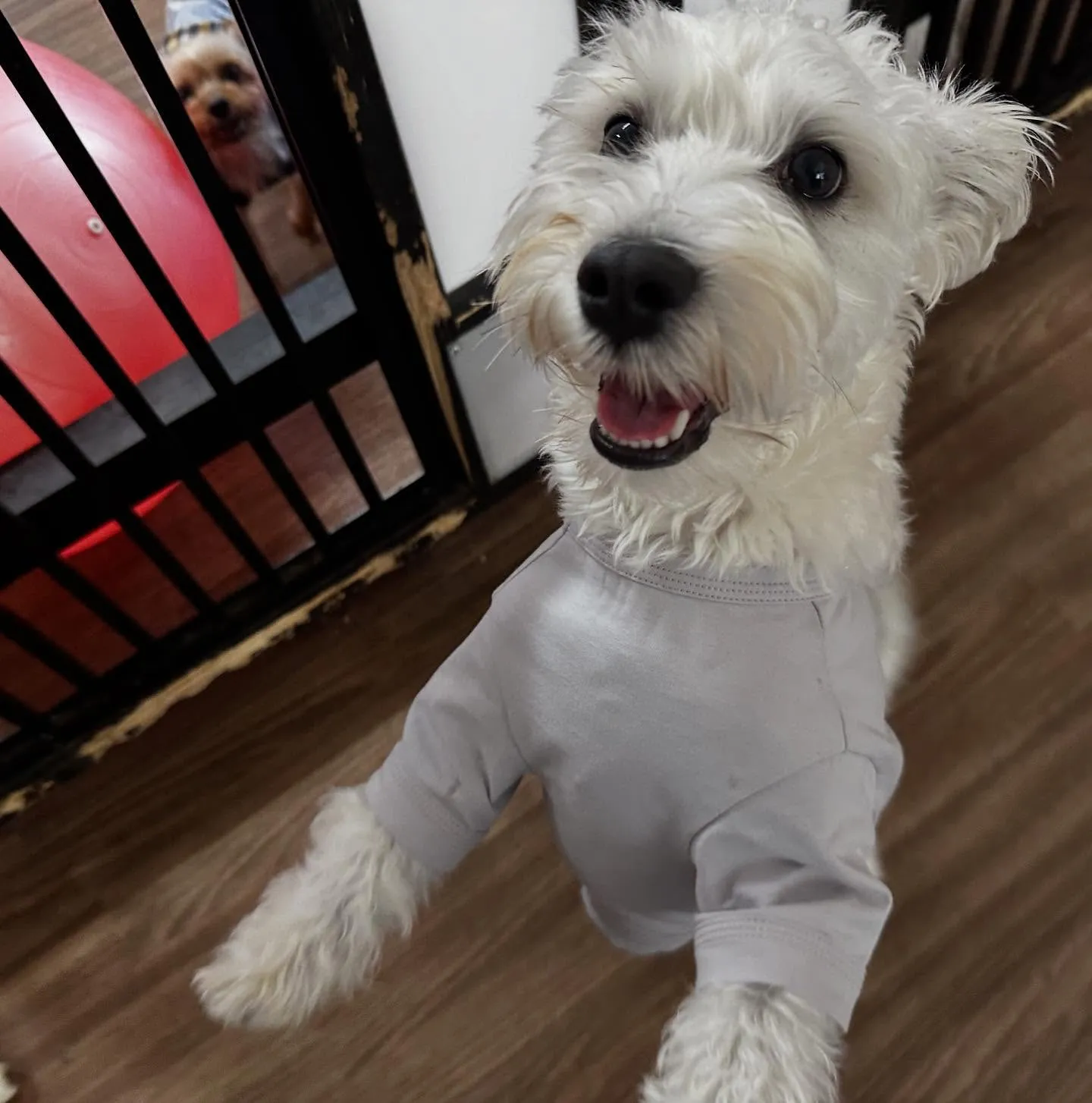 入会してくれたこたろうくんです🤗