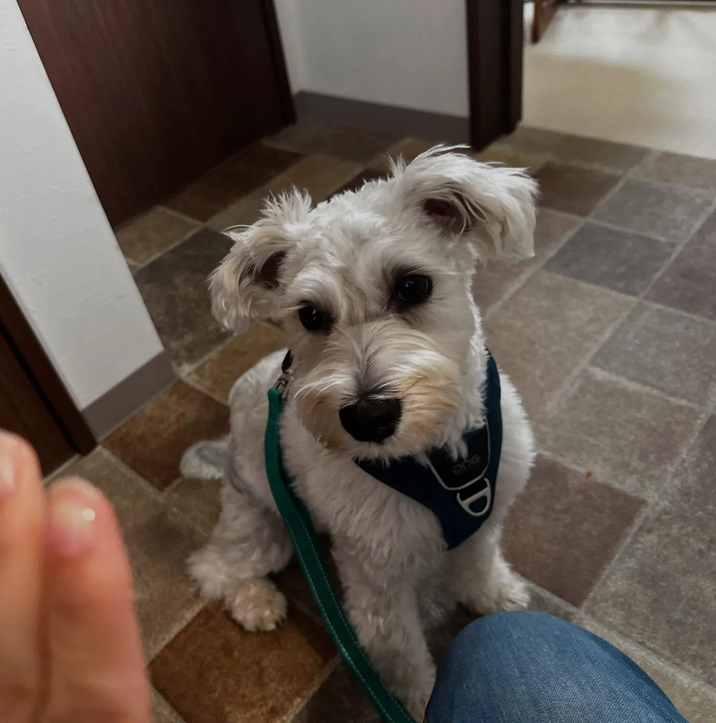 入会してくれたこたろうくんです🤗