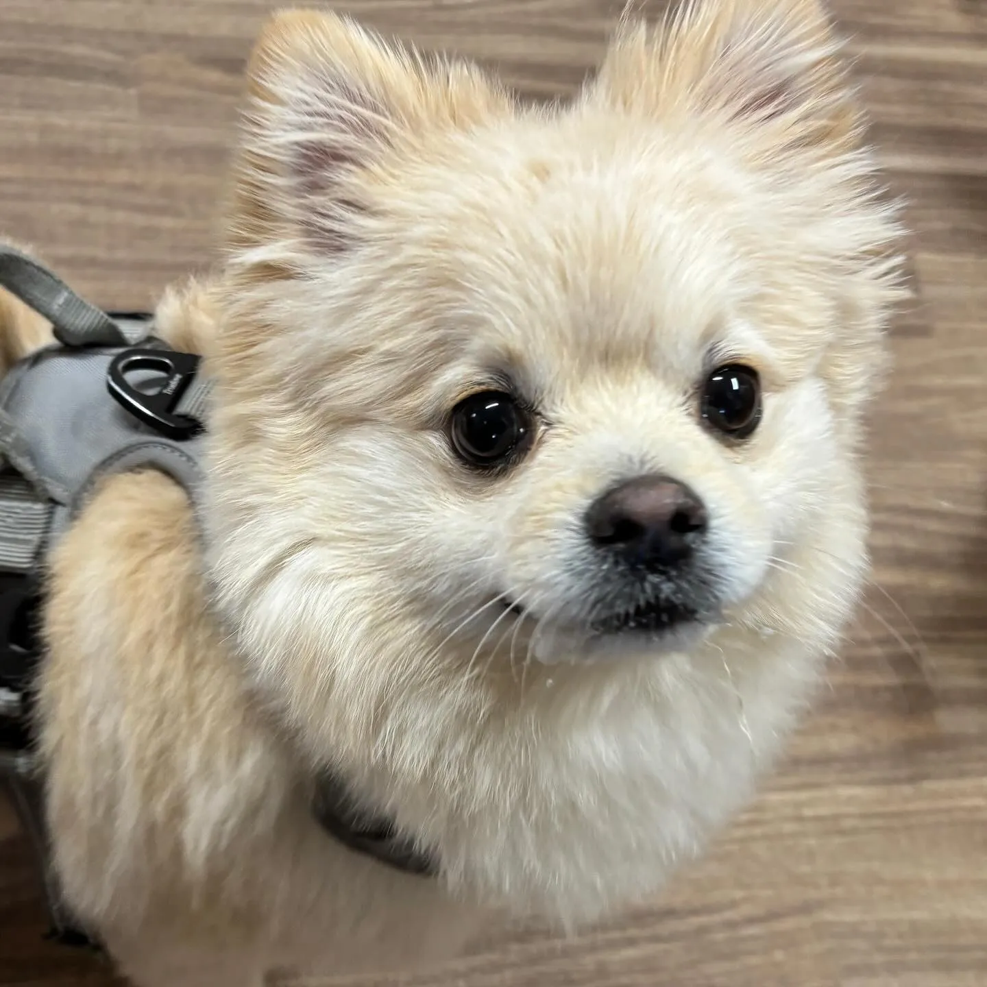 9月はスポーツの秋ということで「体力測定イベント」を開催しま...