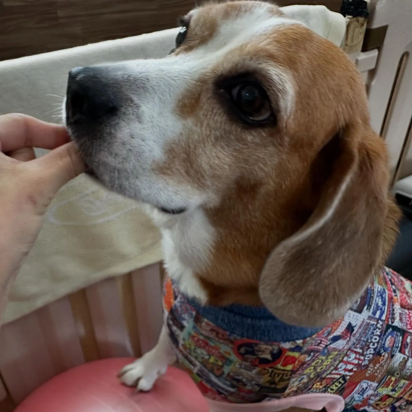 9月はスポーツの秋ということで「体力測定イベント」を開催しま...