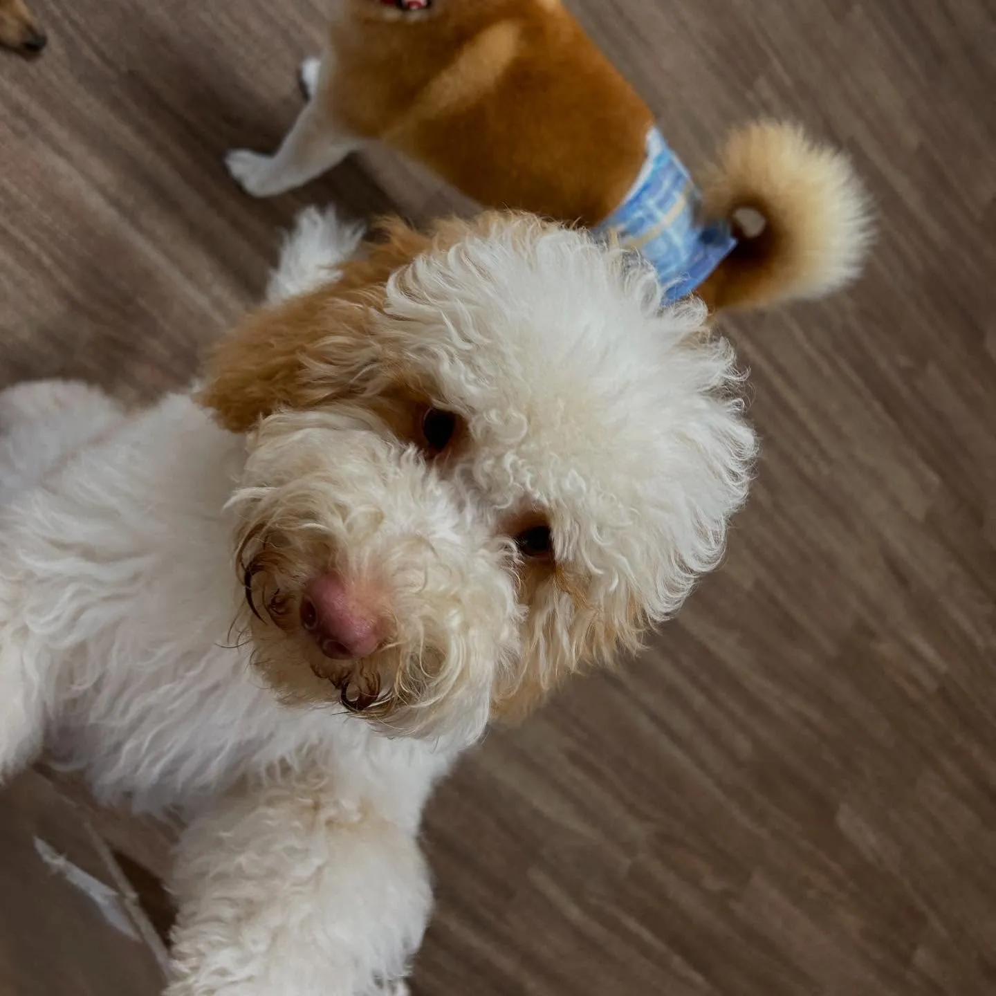 9月はスポーツの秋ということで「体力測定イベント」を開催しま...