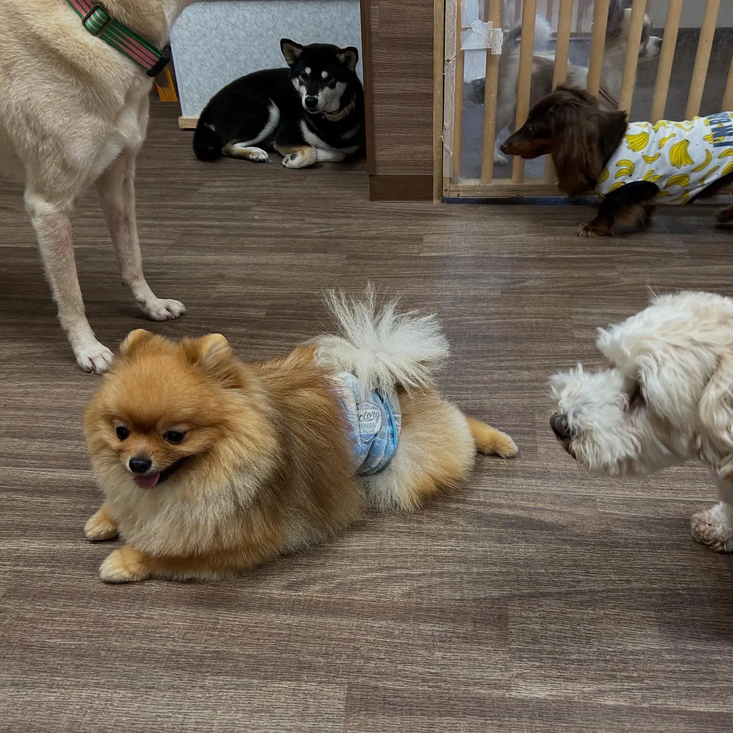 9月はスポーツの秋ということで「体力測定イベント」を開催しま...