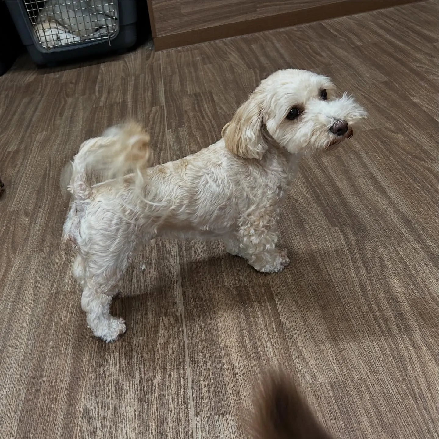 9月はスポーツの秋ということで「体力測定イベント」を開催しま...