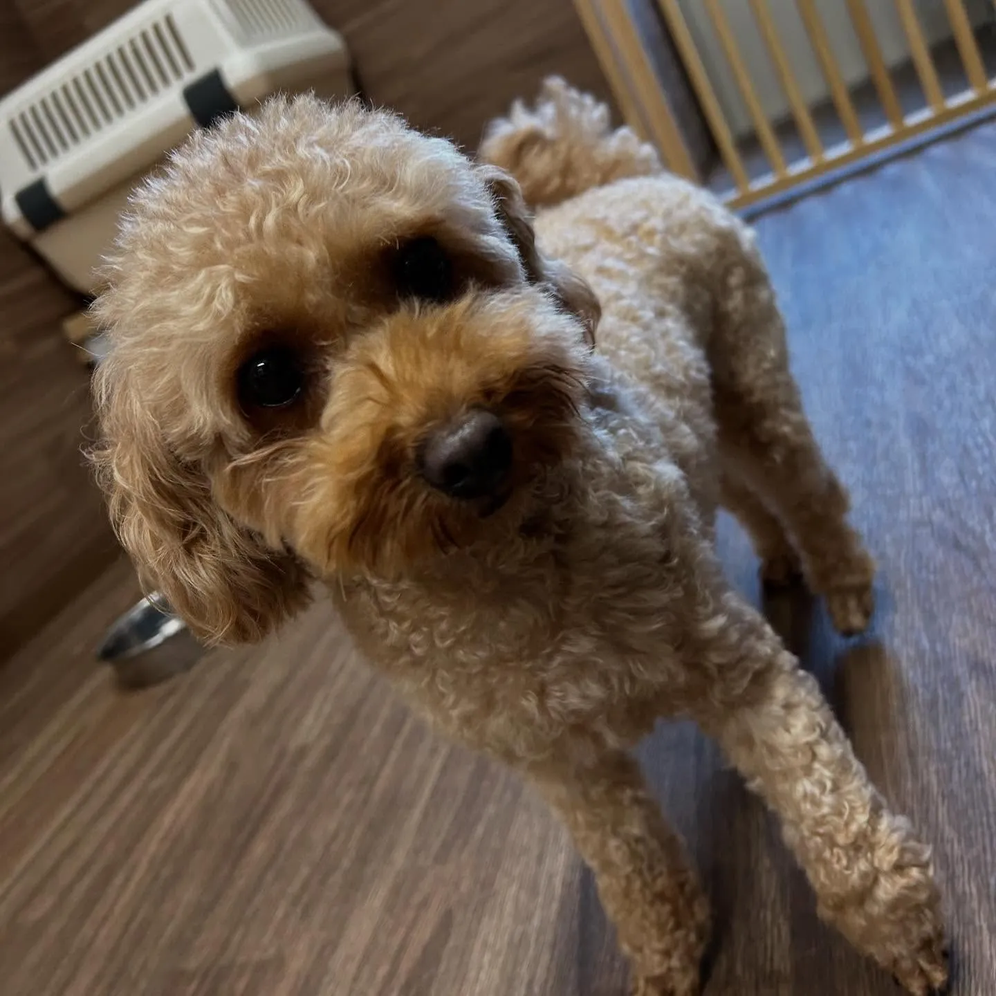 9月はスポーツの秋ということで「体力測定イベント」を開催しま...