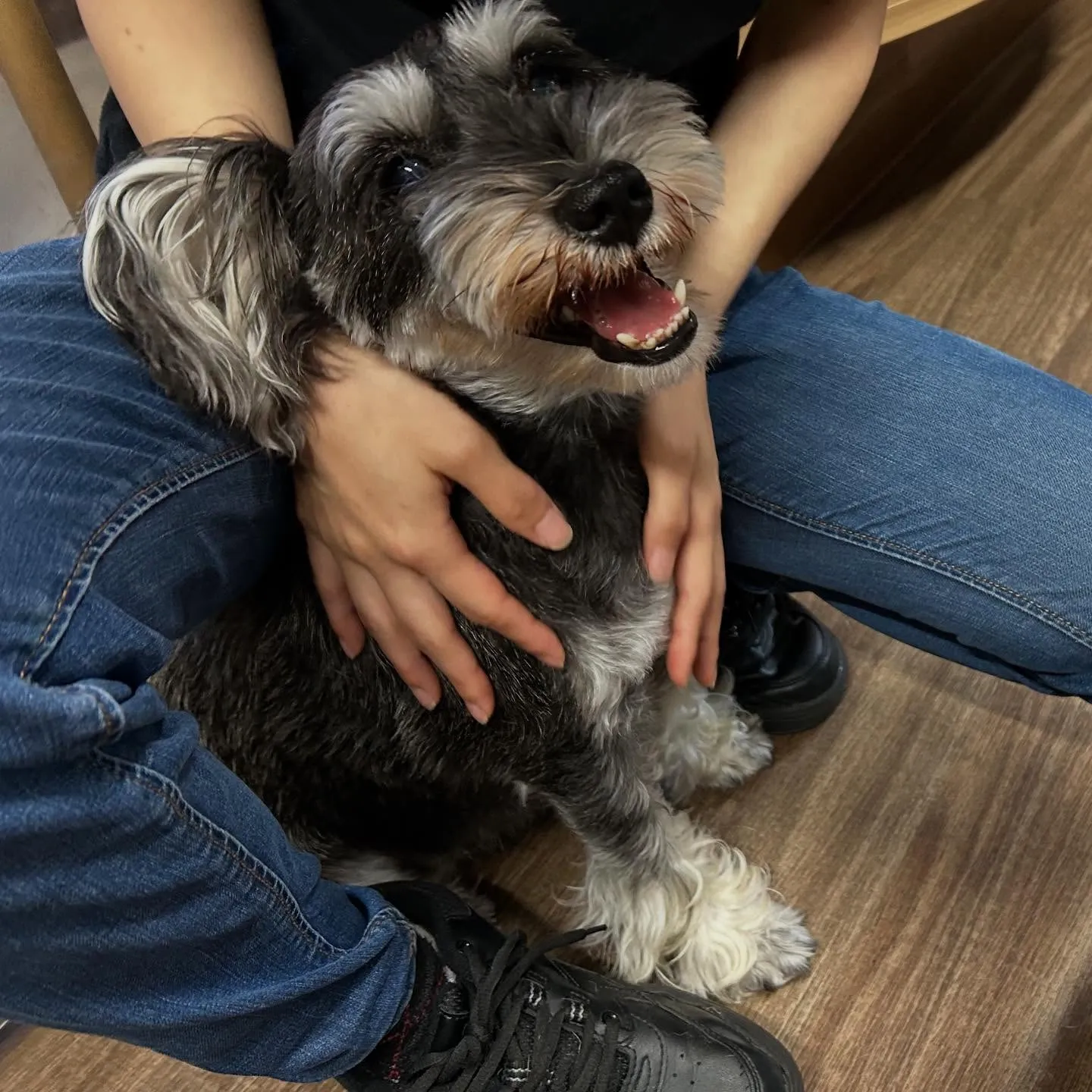 9月はスポーツの秋ということで「体力測定イベント」を開催しま...