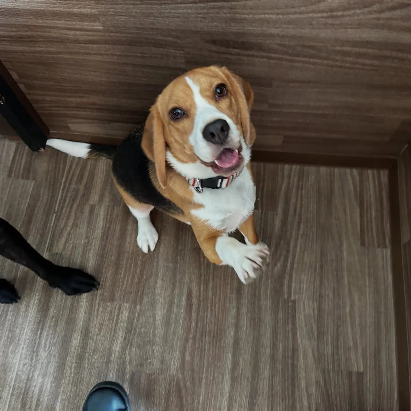 9月はスポーツの秋ということで「体力測定イベント」を開催しま...