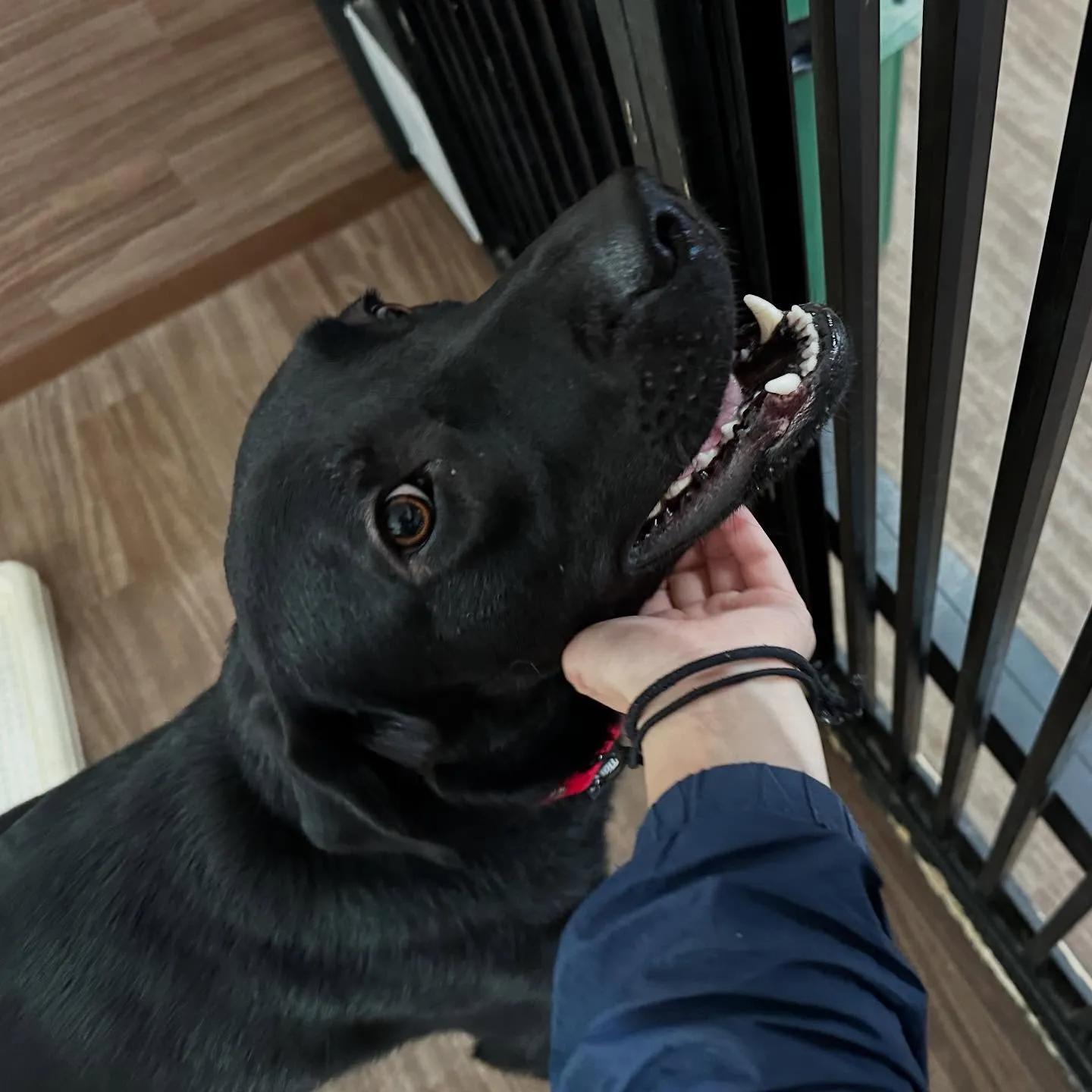 9月はスポーツの秋ということで「体力測定イベント」を開催しま...