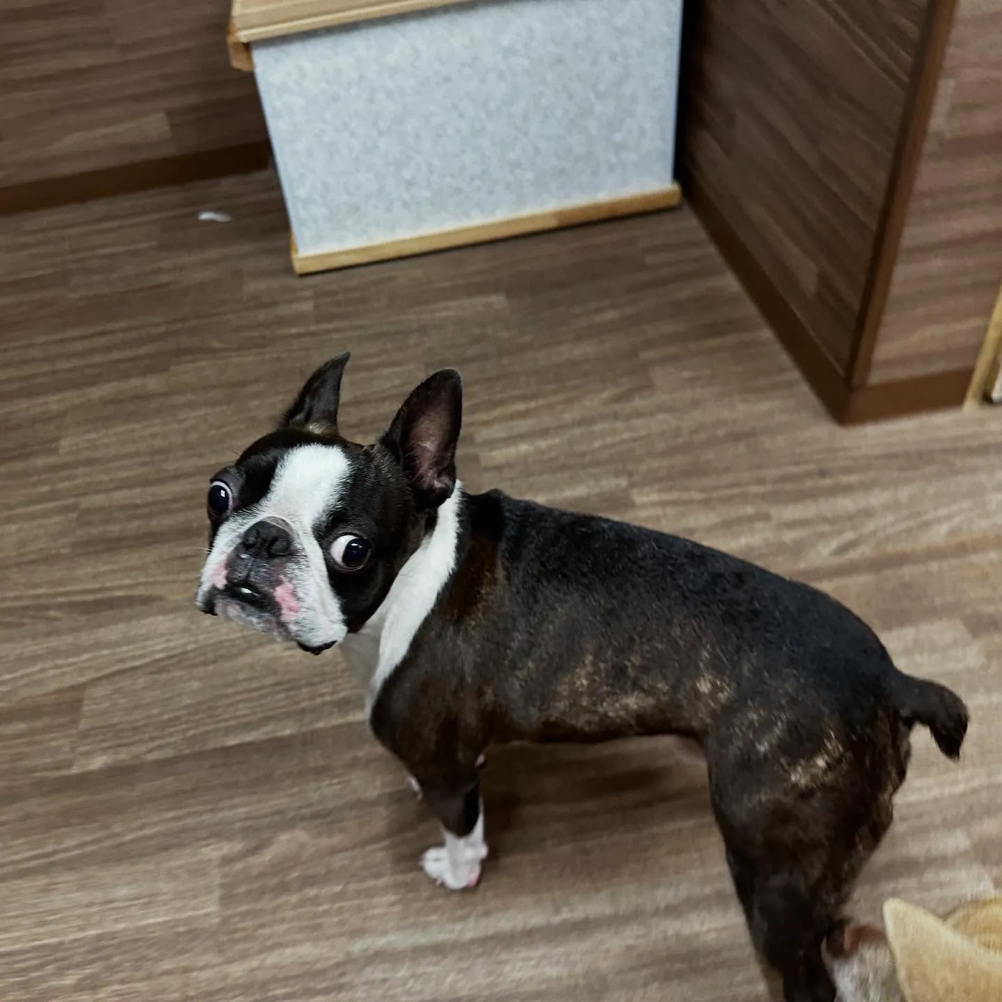 【予約受付終了のお知らせ】