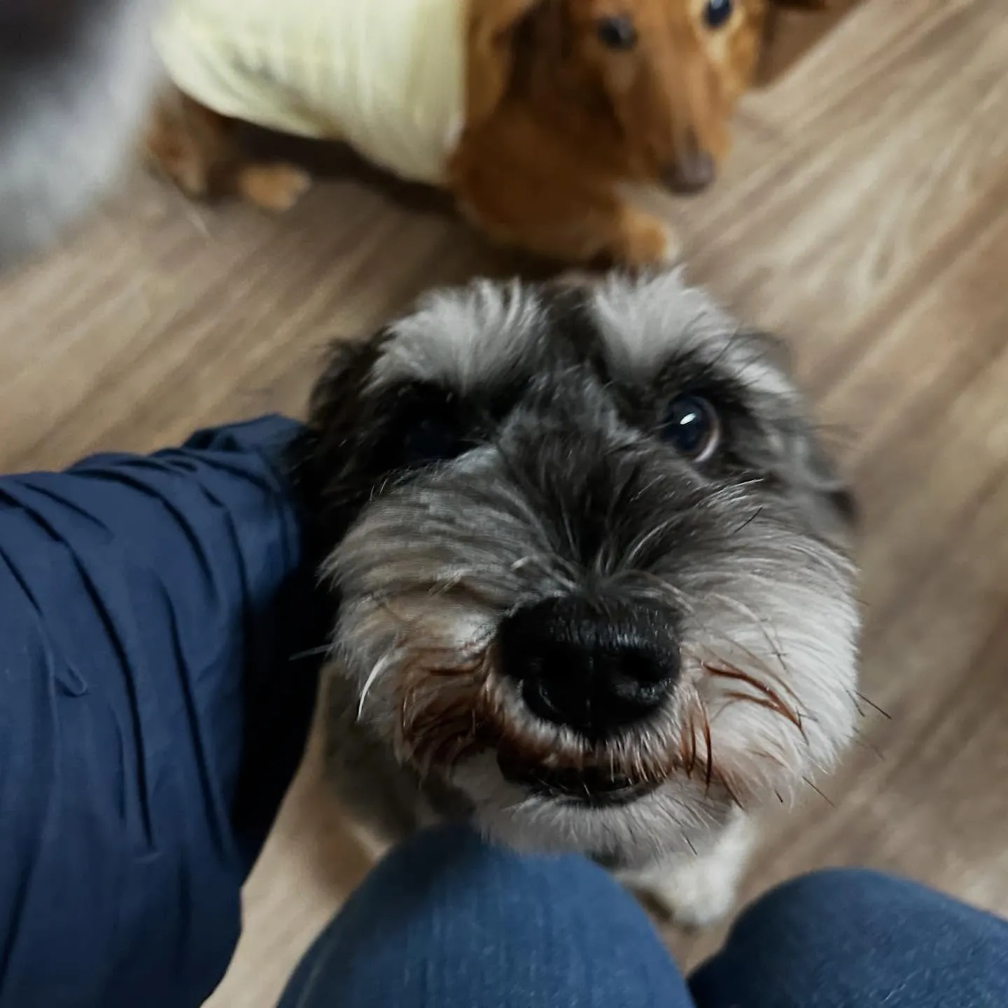 【予約受付終了のお知らせ】