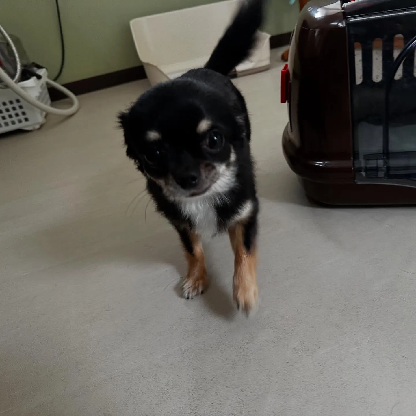 【予約受付終了のお知らせ】