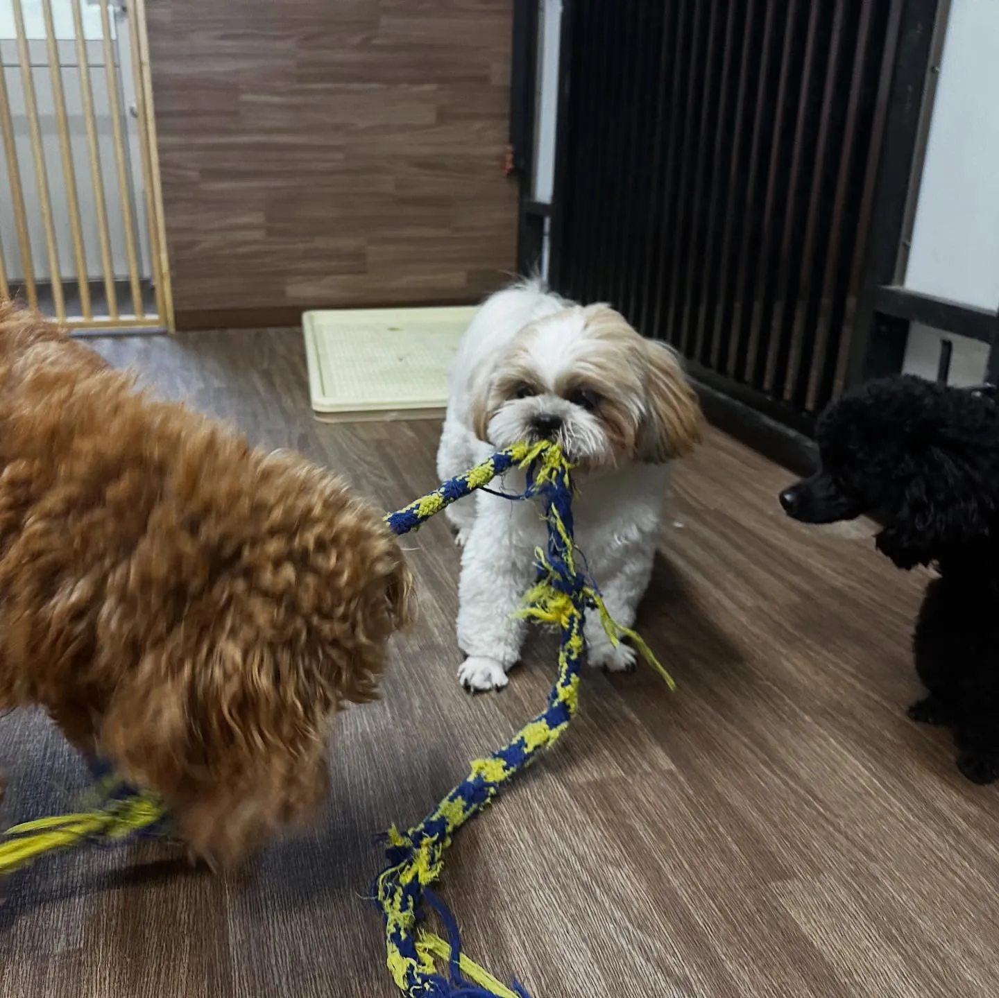 【予約受付終了のお知らせ】