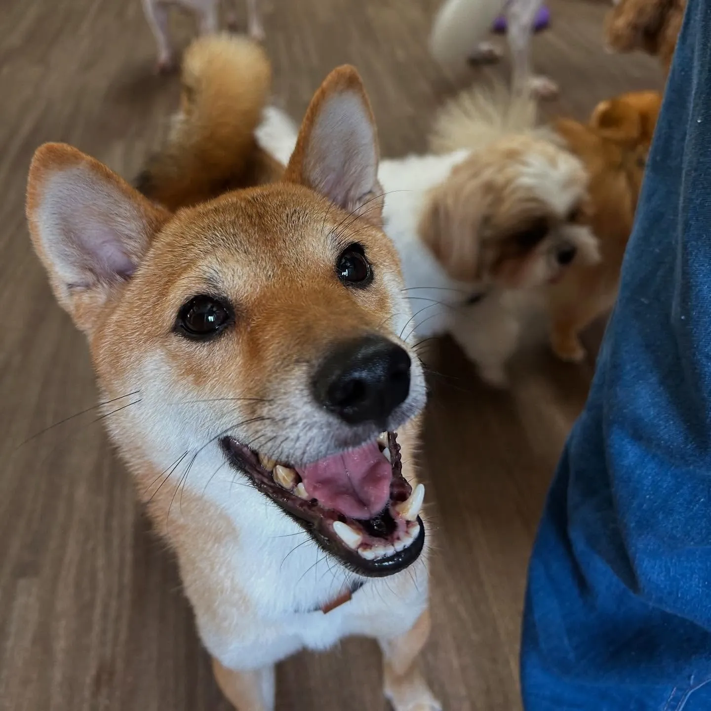 【予約受付終了のお知らせ】