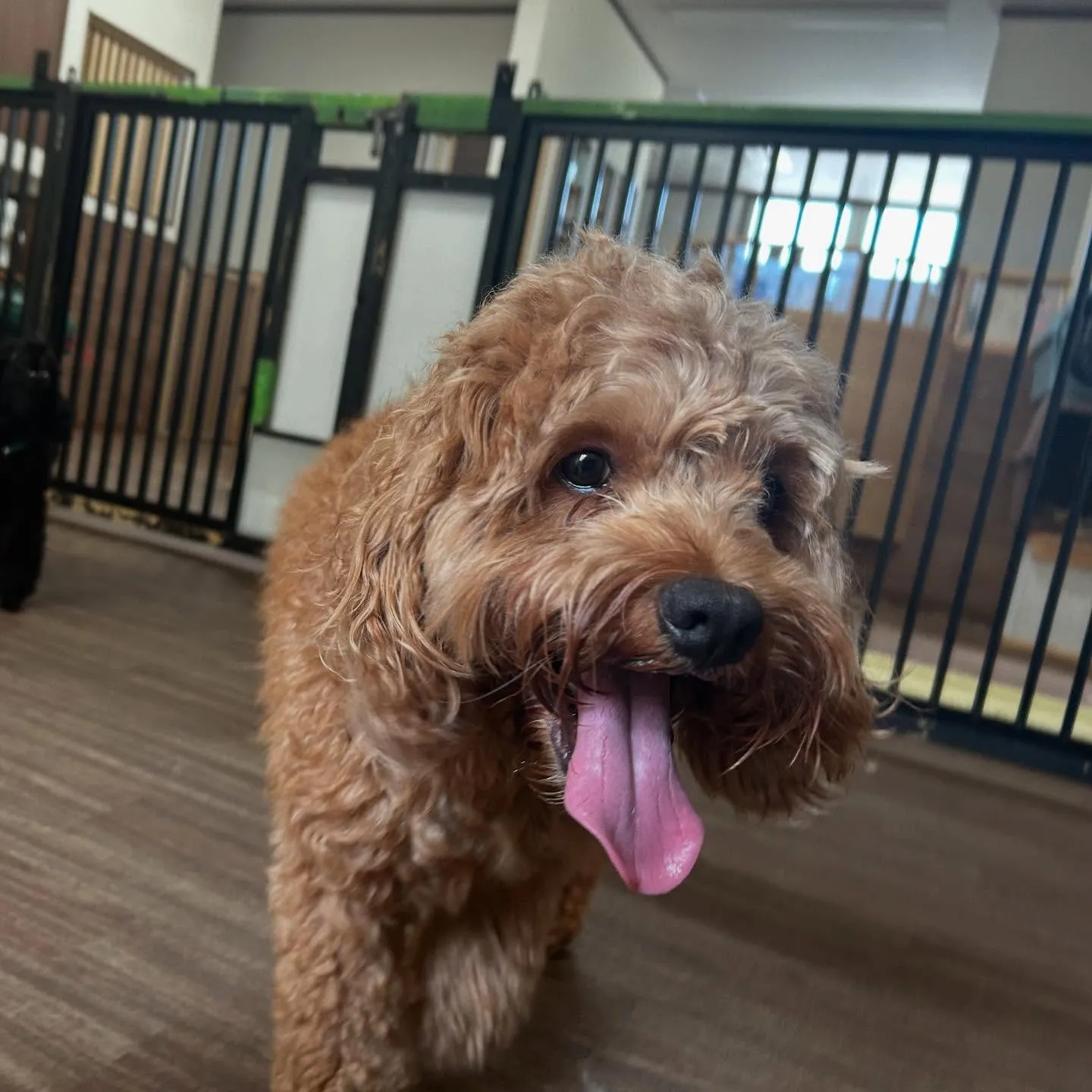 【予約受付終了のお知らせ】