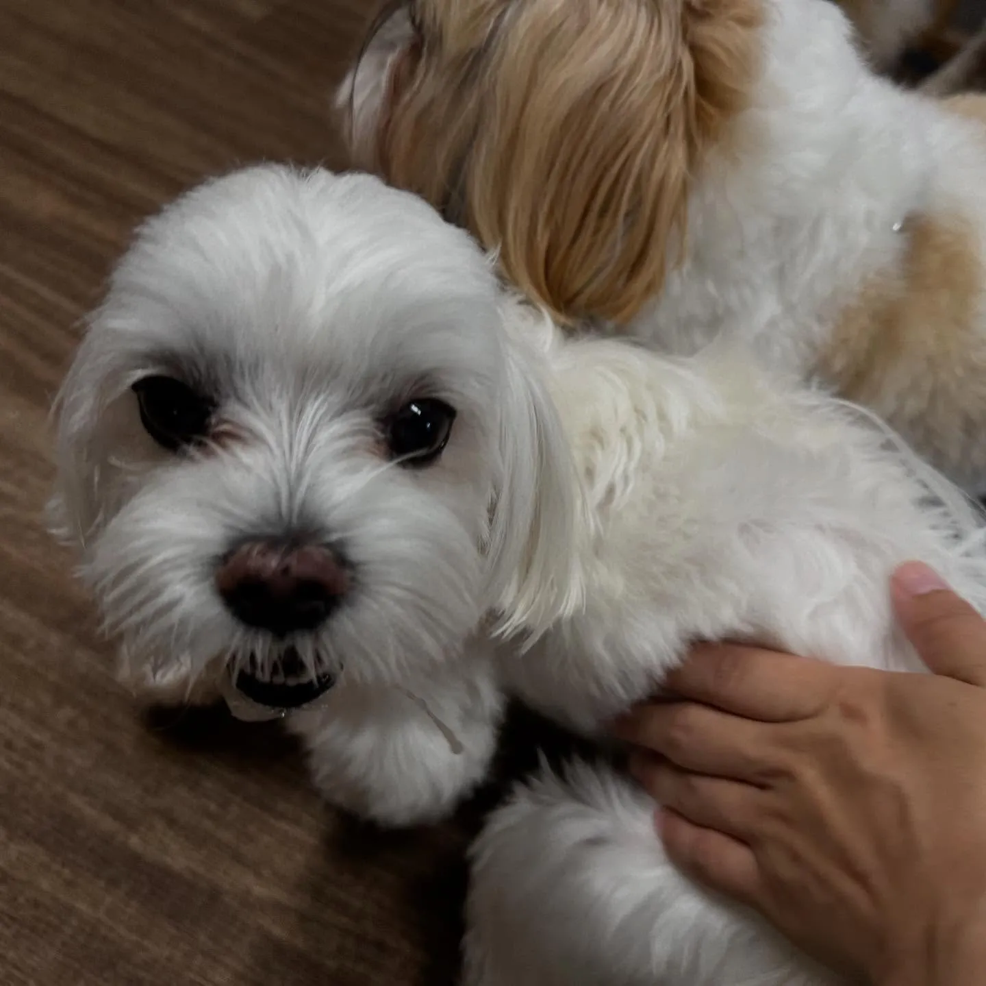 【予約受付終了のお知らせ】