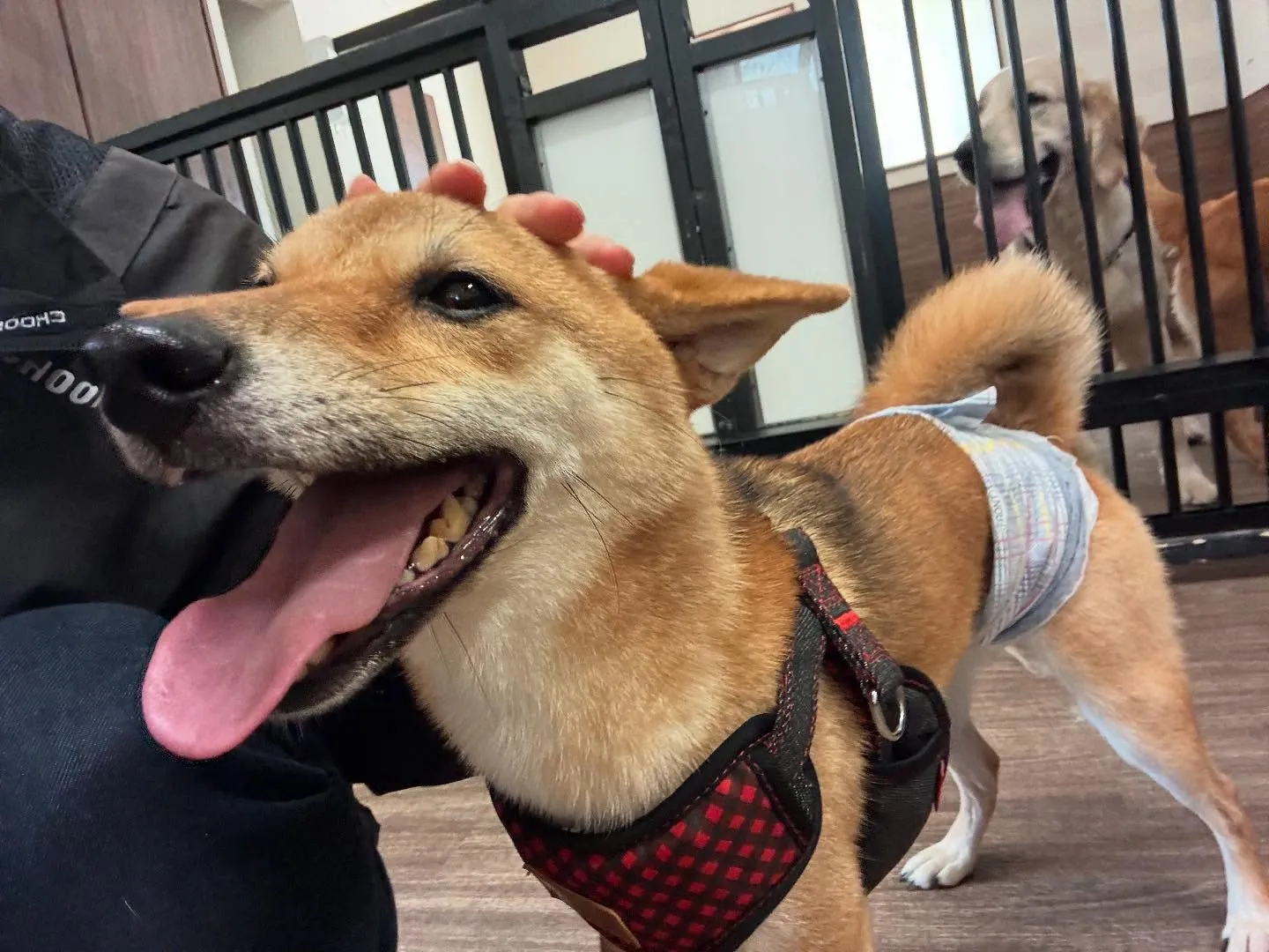 皆様、お盆はいかがお過ごしでしたか？？🤗