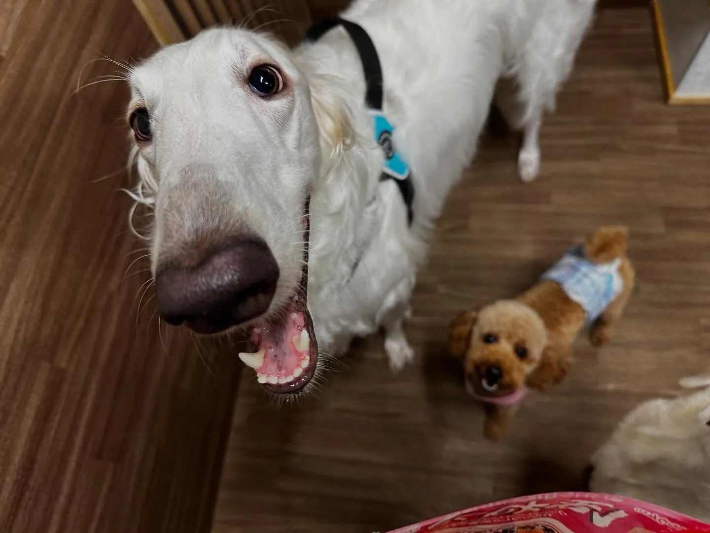 皆様、お盆はいかがお過ごしでしたか？？🤗