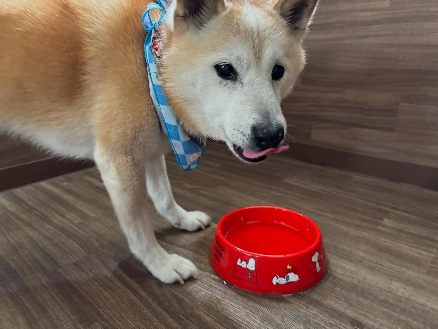 皆様、お盆はいかがお過ごしでしたか？？🤗