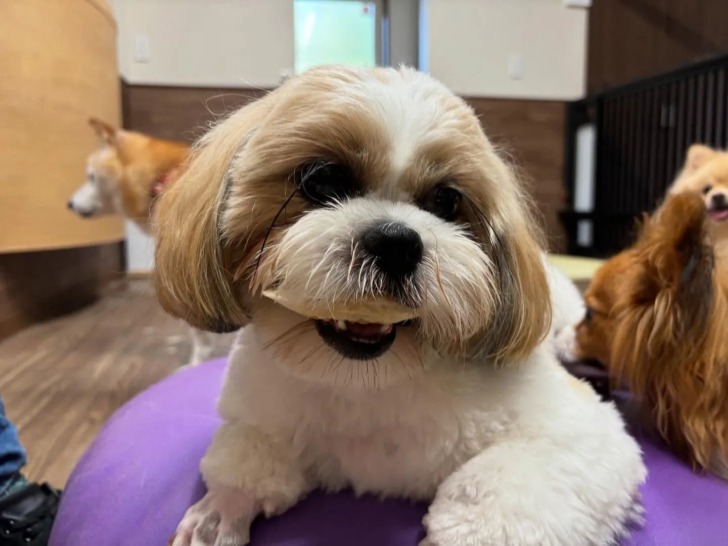 皆様、お盆はいかがお過ごしでしたか？？🤗