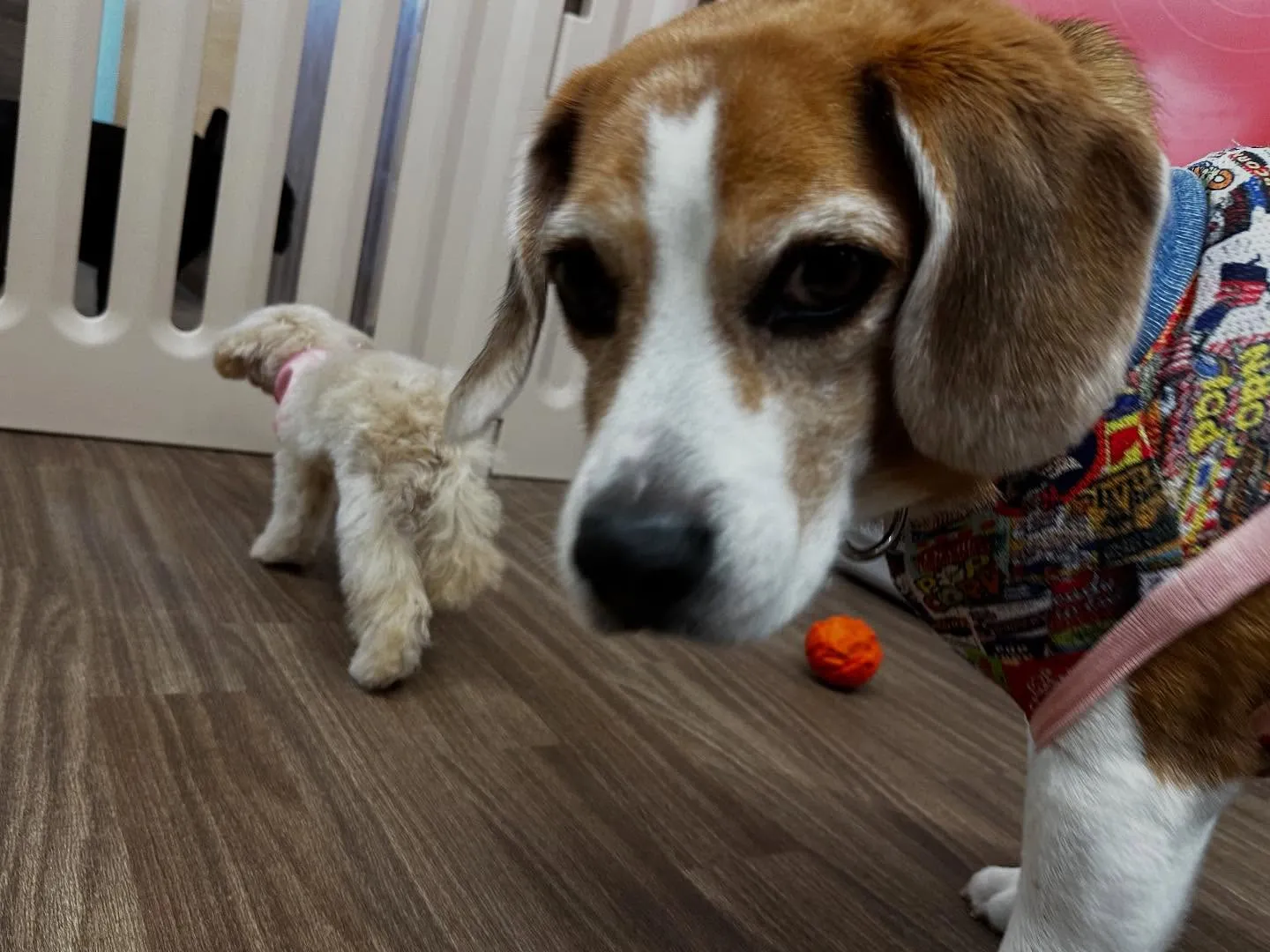 皆様、お盆はいかがお過ごしでしたか？？🤗