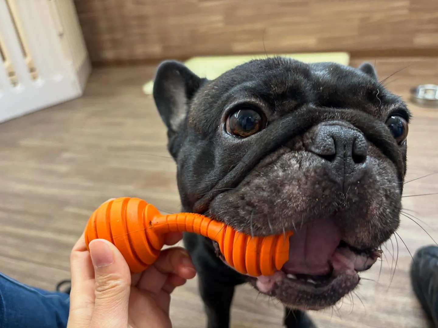 皆様、お盆はいかがお過ごしでしたか？？🤗