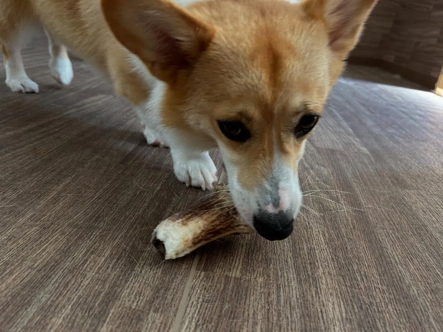 皆様、お盆はいかがお過ごしでしたか？？🤗