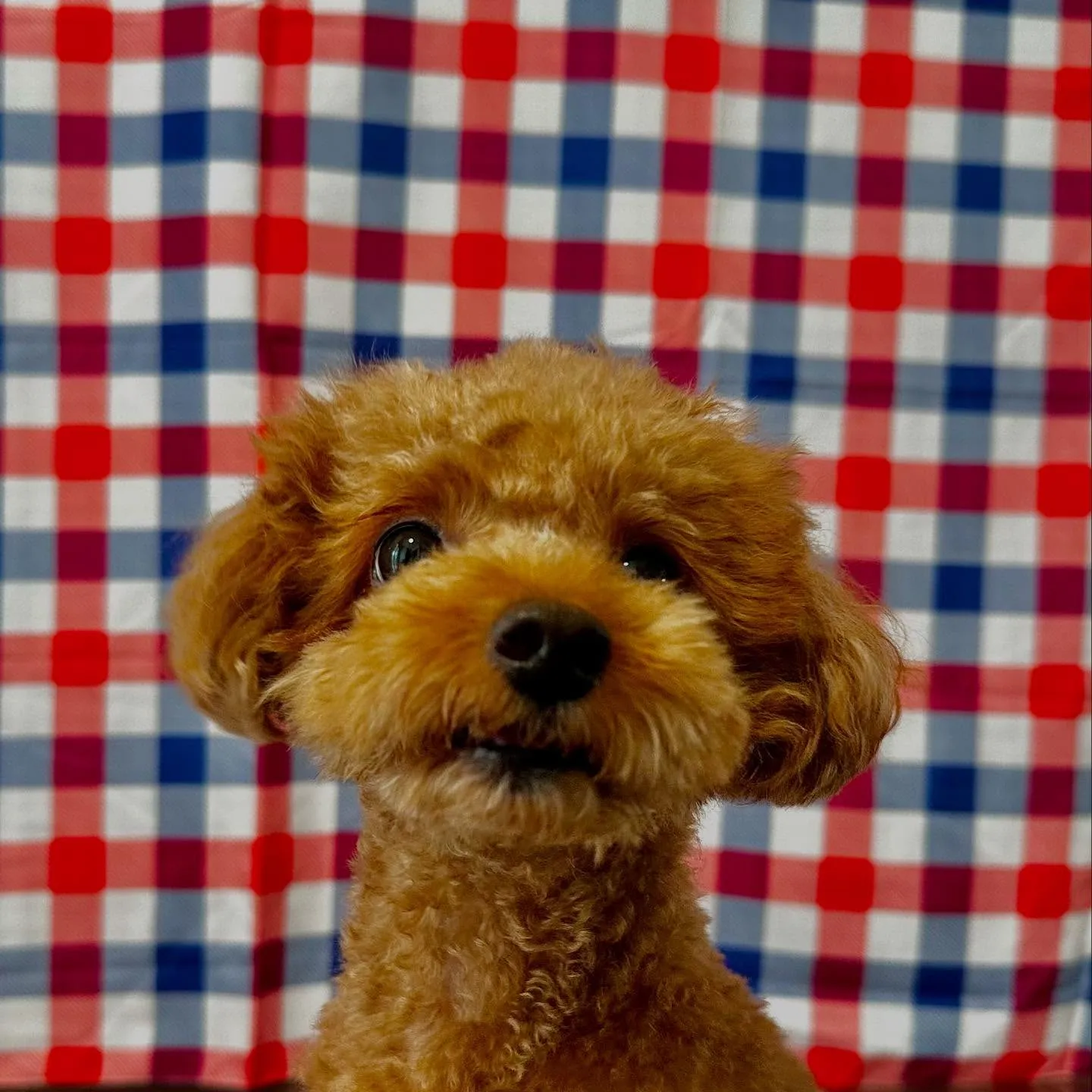 写真撮影会イベント初日に撮った