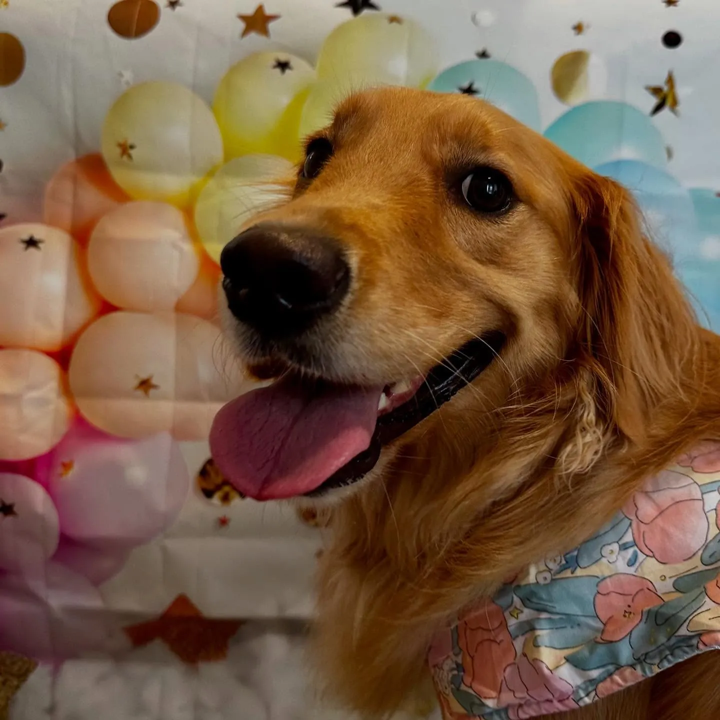 写真撮影会イベント初日に撮った