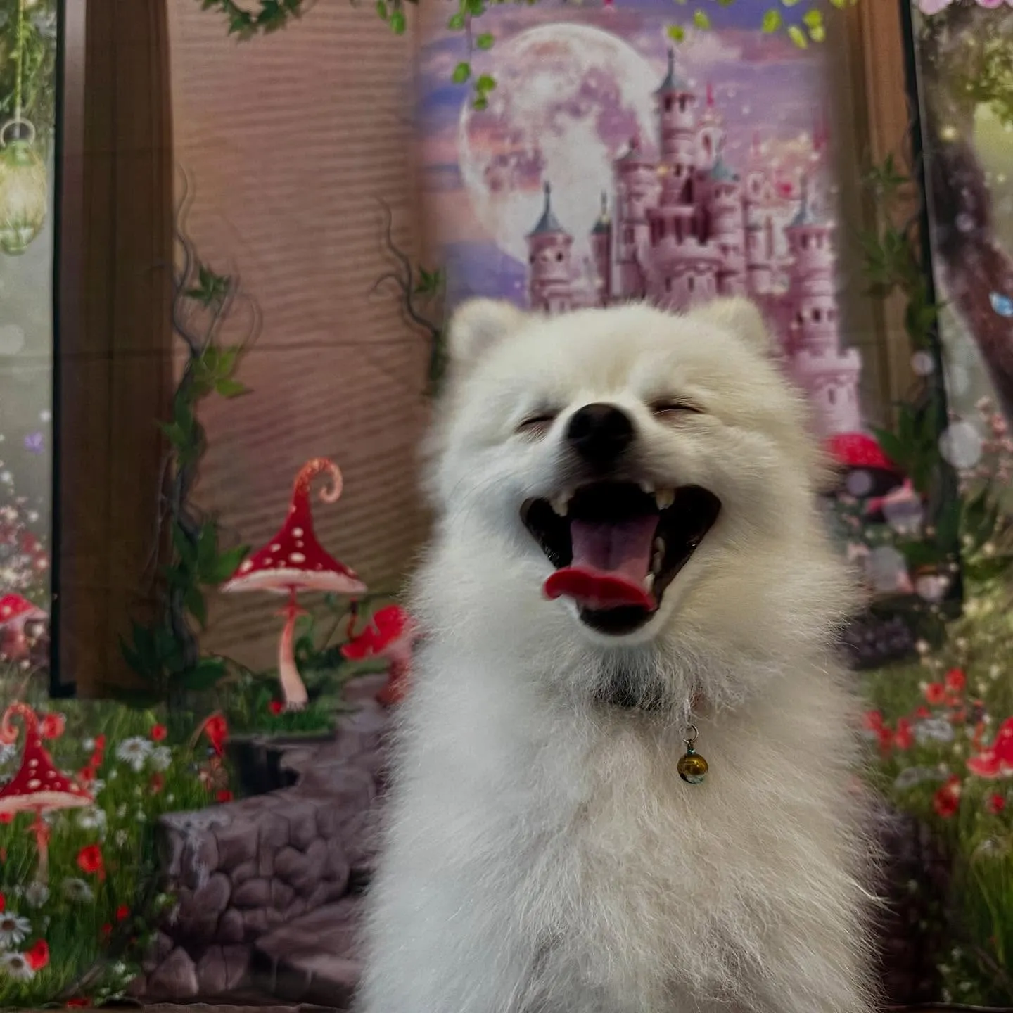 写真撮影会イベント初日に撮った