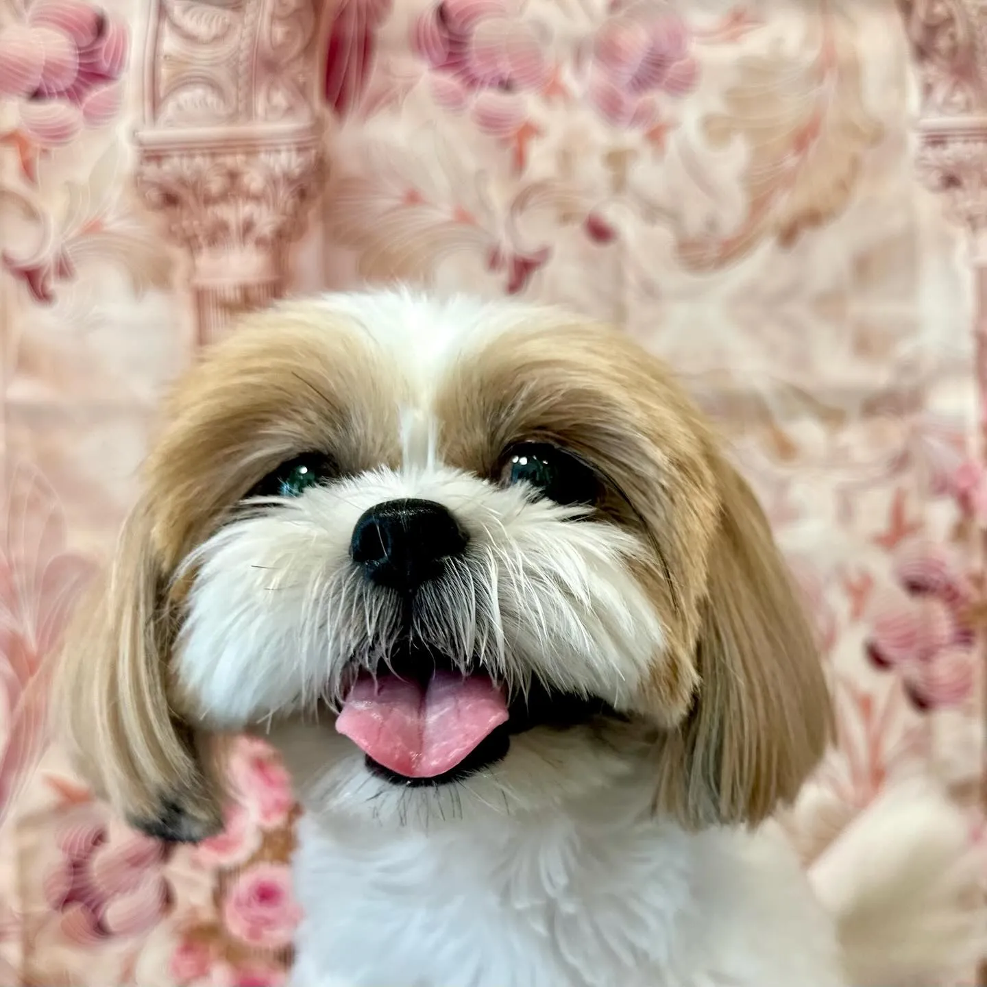 写真撮影会イベント初日に撮った