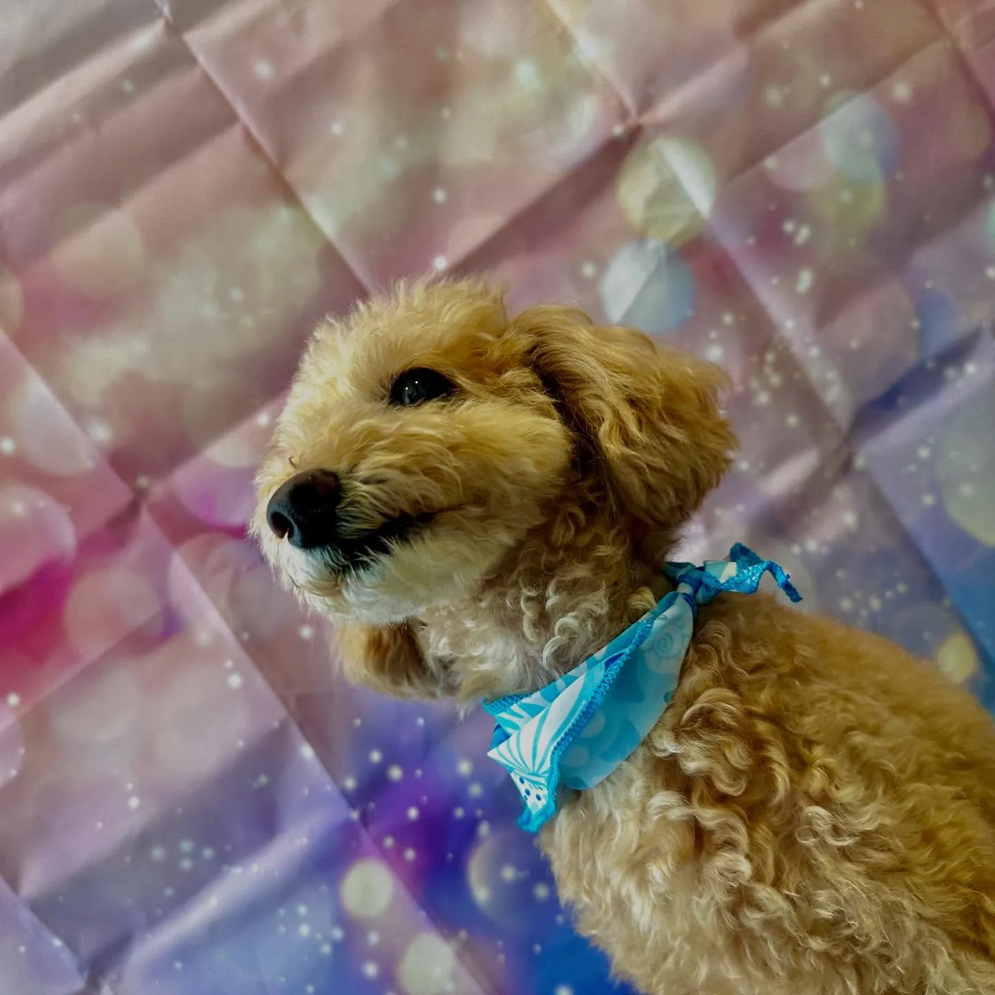 写真撮影会イベント初日に撮った