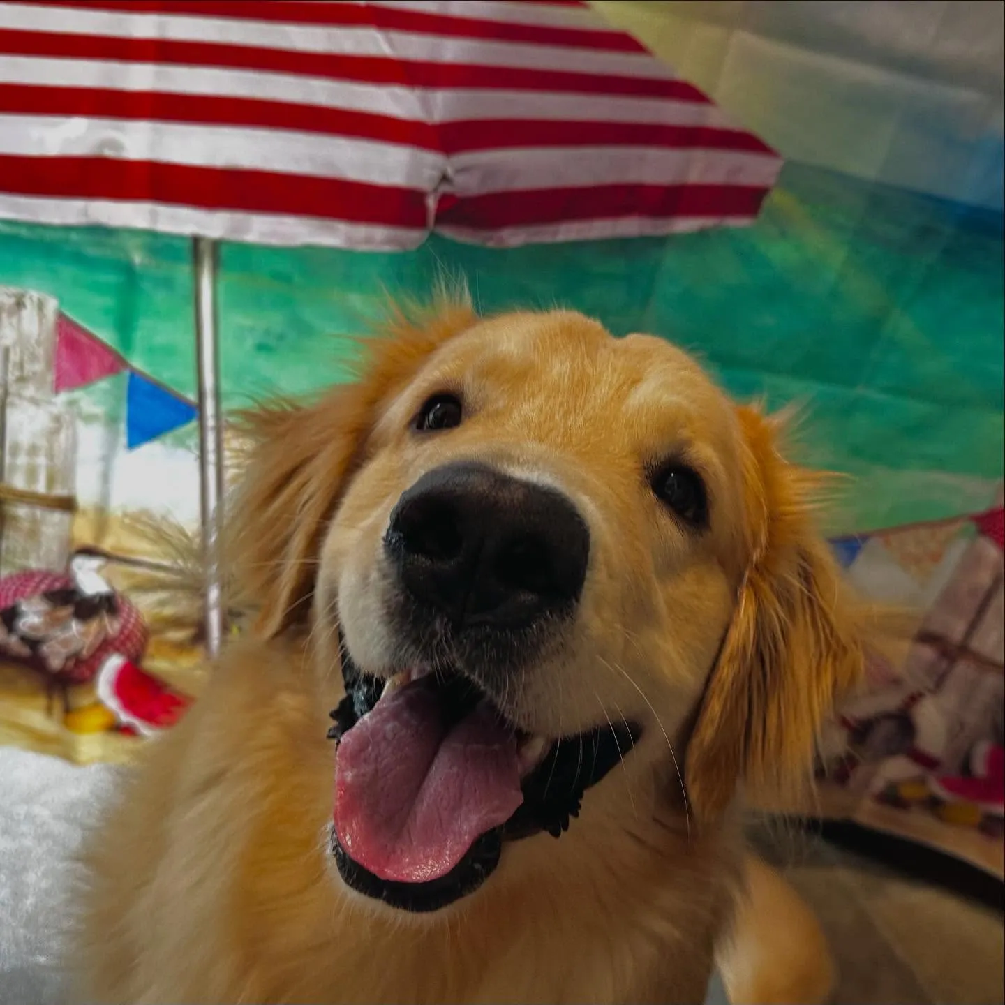 写真撮影会イベント初日に撮った