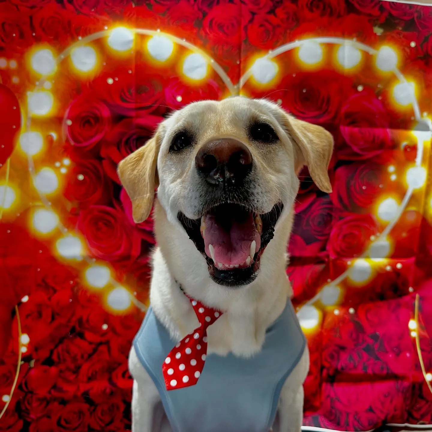 写真撮影会イベント初日に撮った