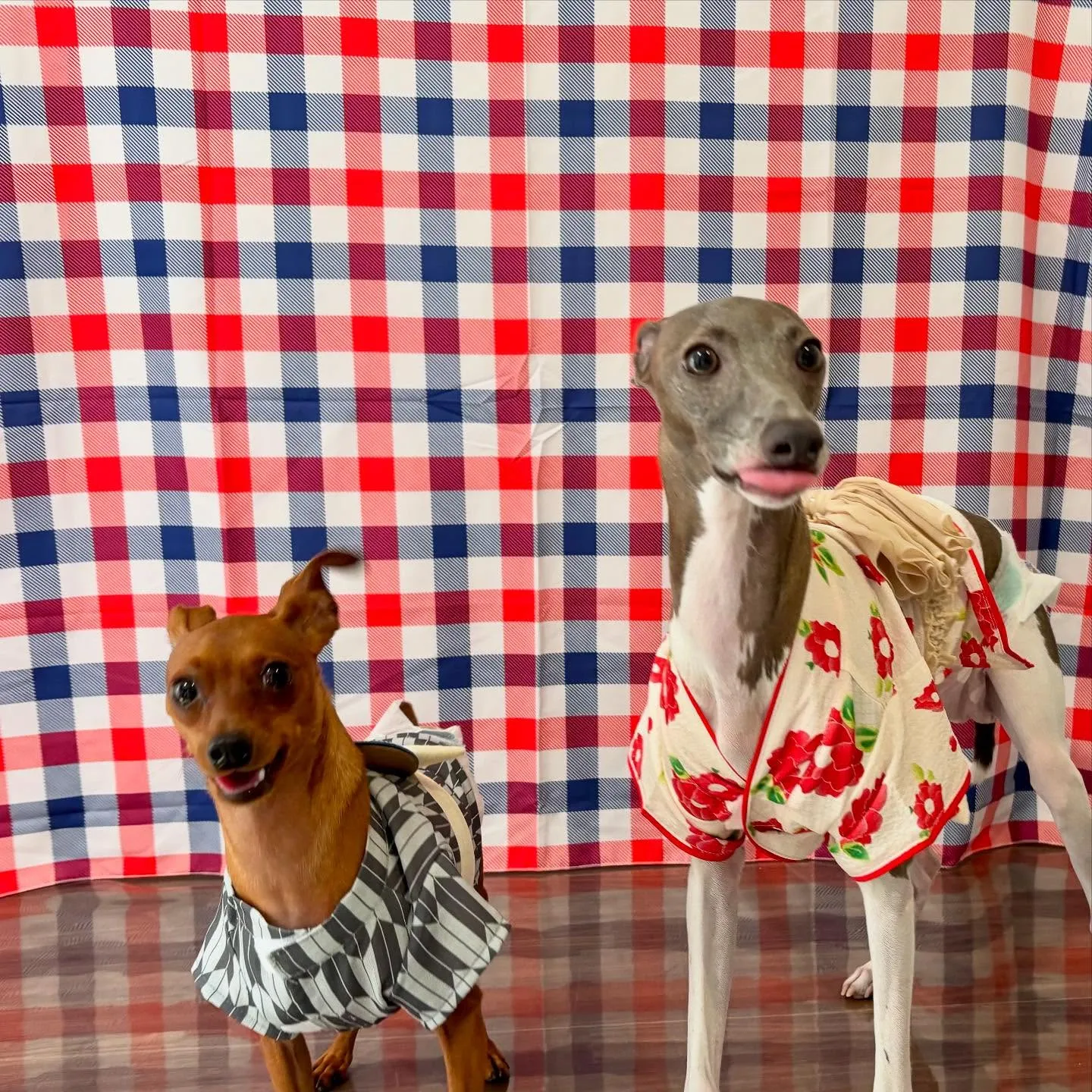 写真撮影会イベント初日に撮った