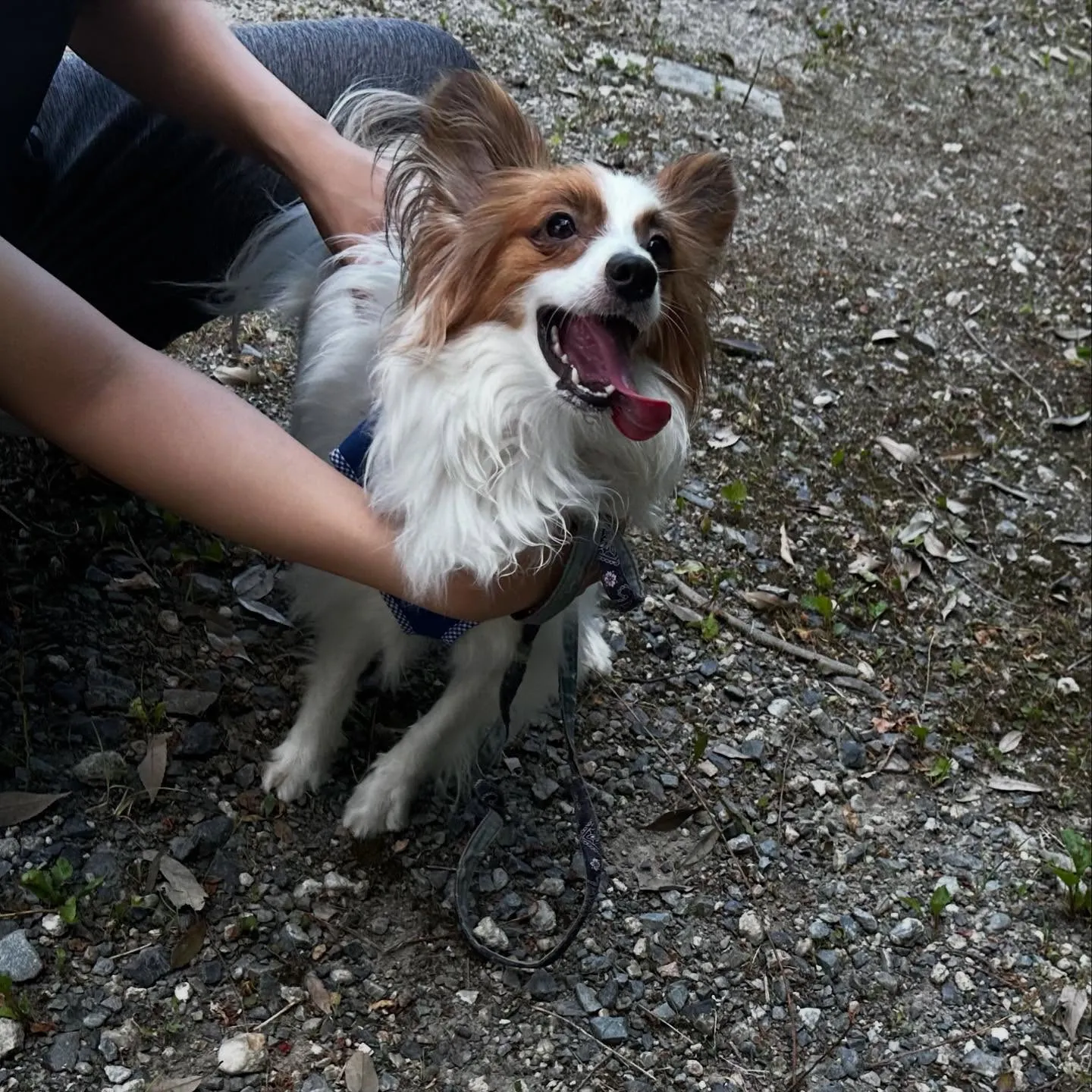 入会してくれたハルくんです☺️