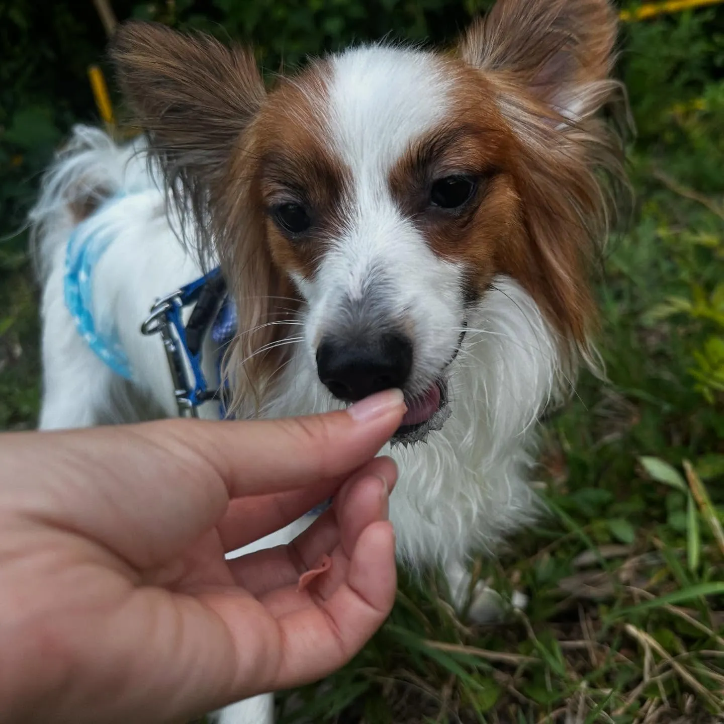 入会してくれたハルくんです☺️