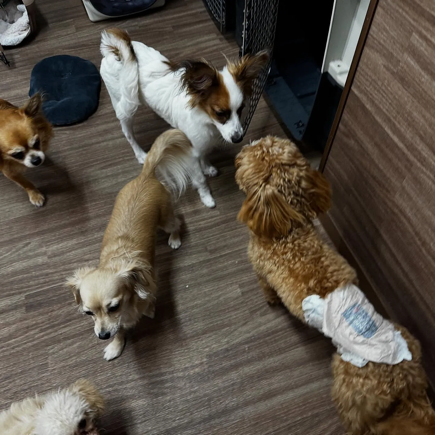 入会してくれたハルくんです☺️