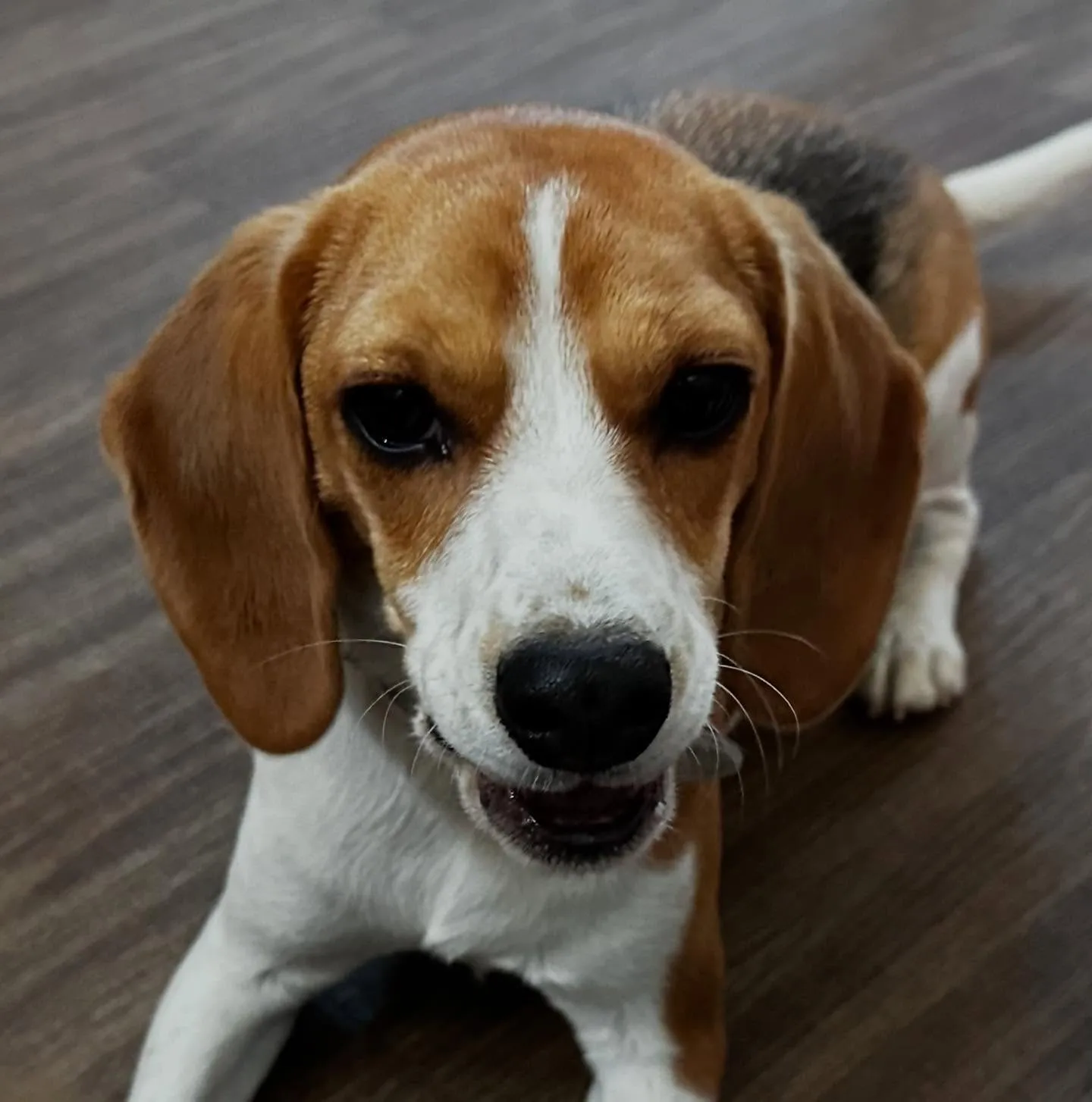 入会してくれたみらいちゃんです💕