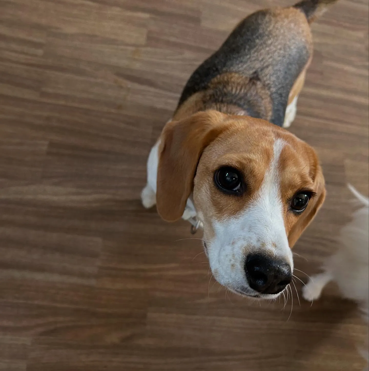 入会してくれたみらいちゃんです💕