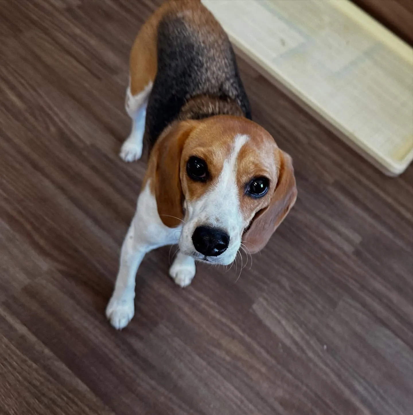 入会してくれたみらいちゃんです💕