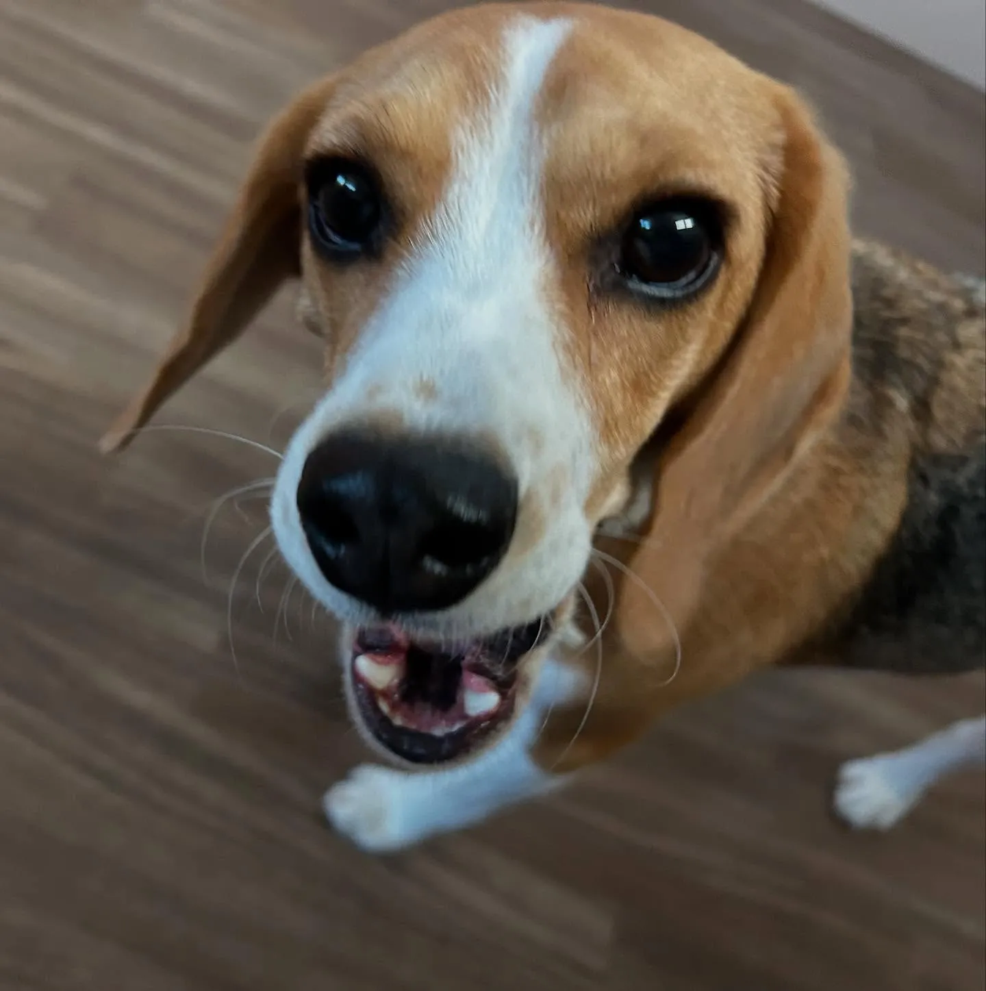 入会してくれたみらいちゃんです💕